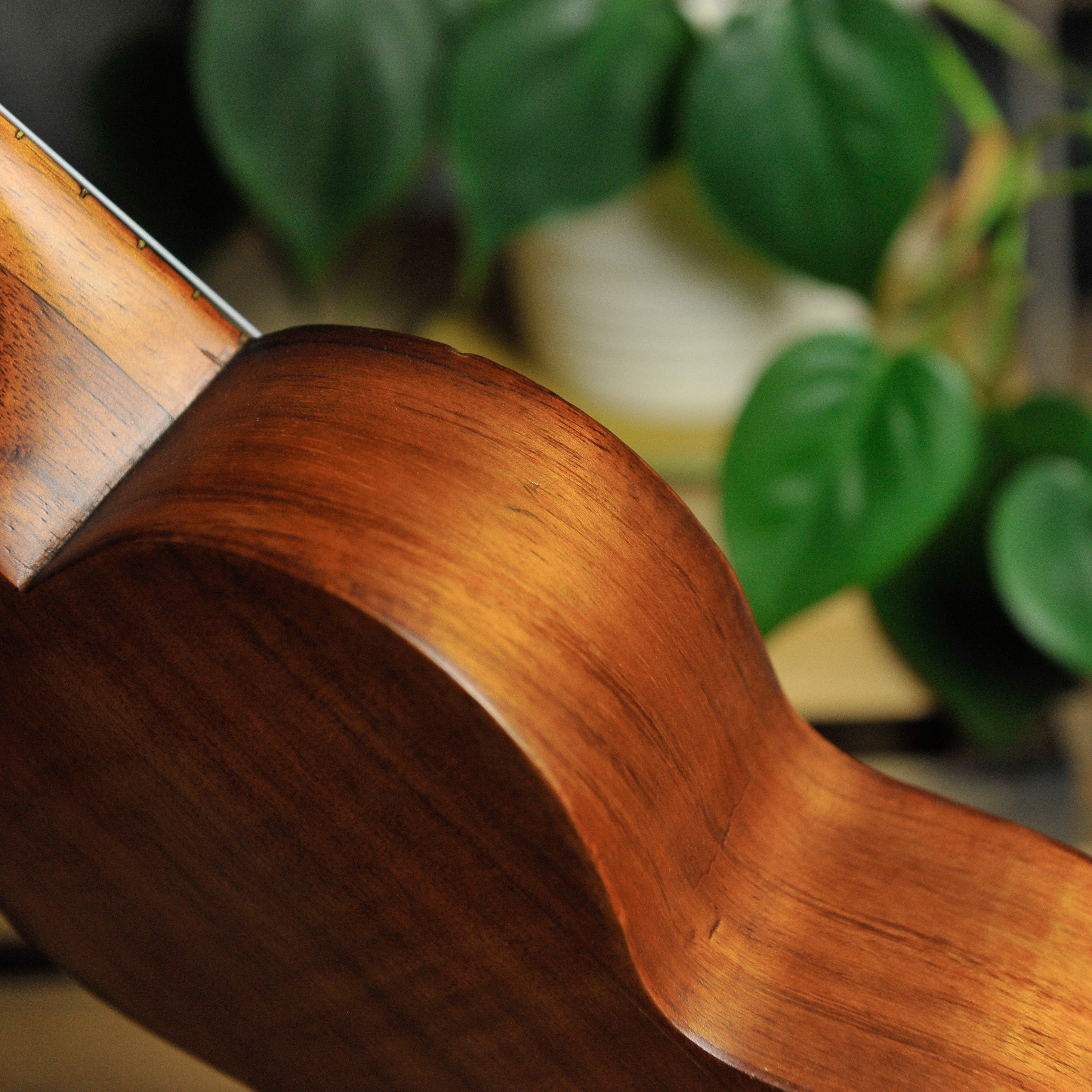 Kumalae Soprano Ukulele  - Used