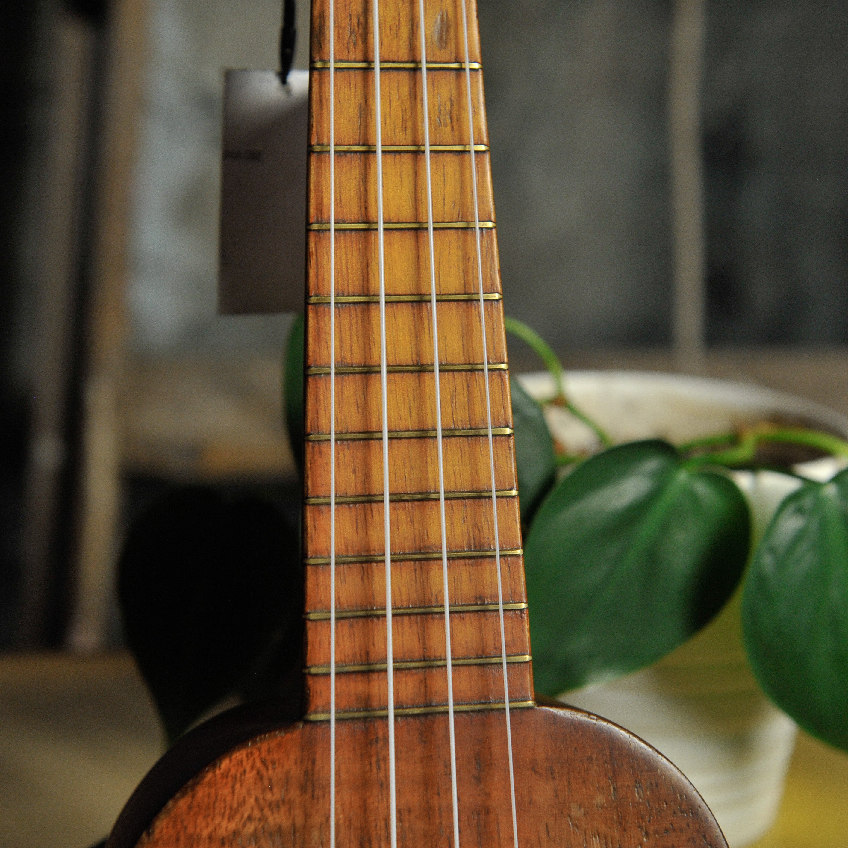 Kumalae Soprano Ukulele  - Used