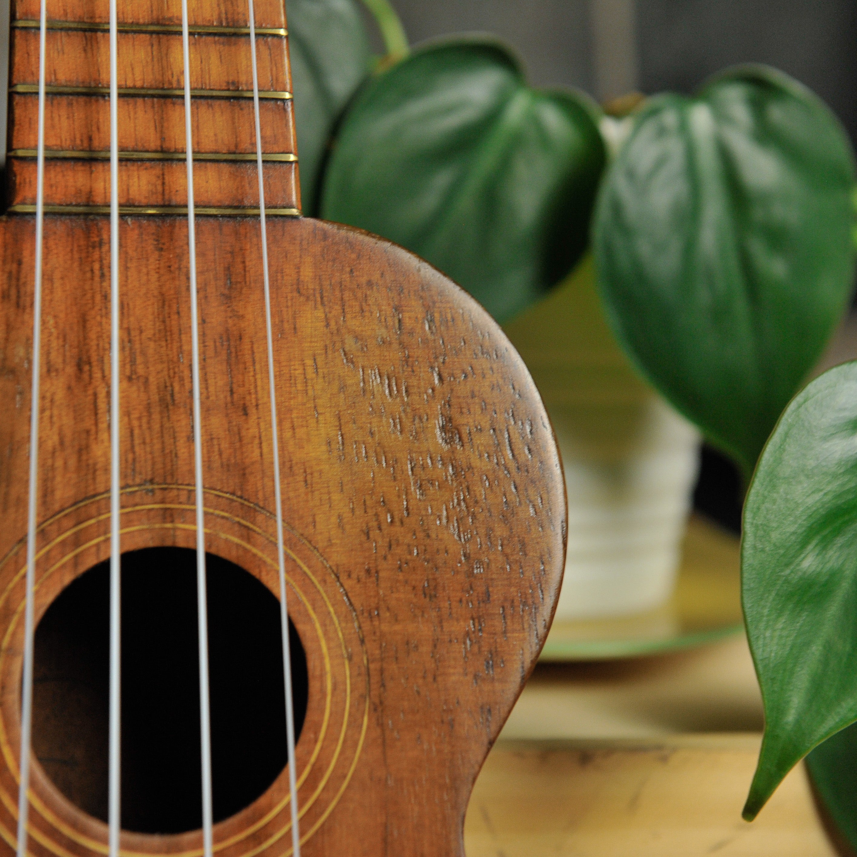 Kumalae Soprano Ukulele  - Used