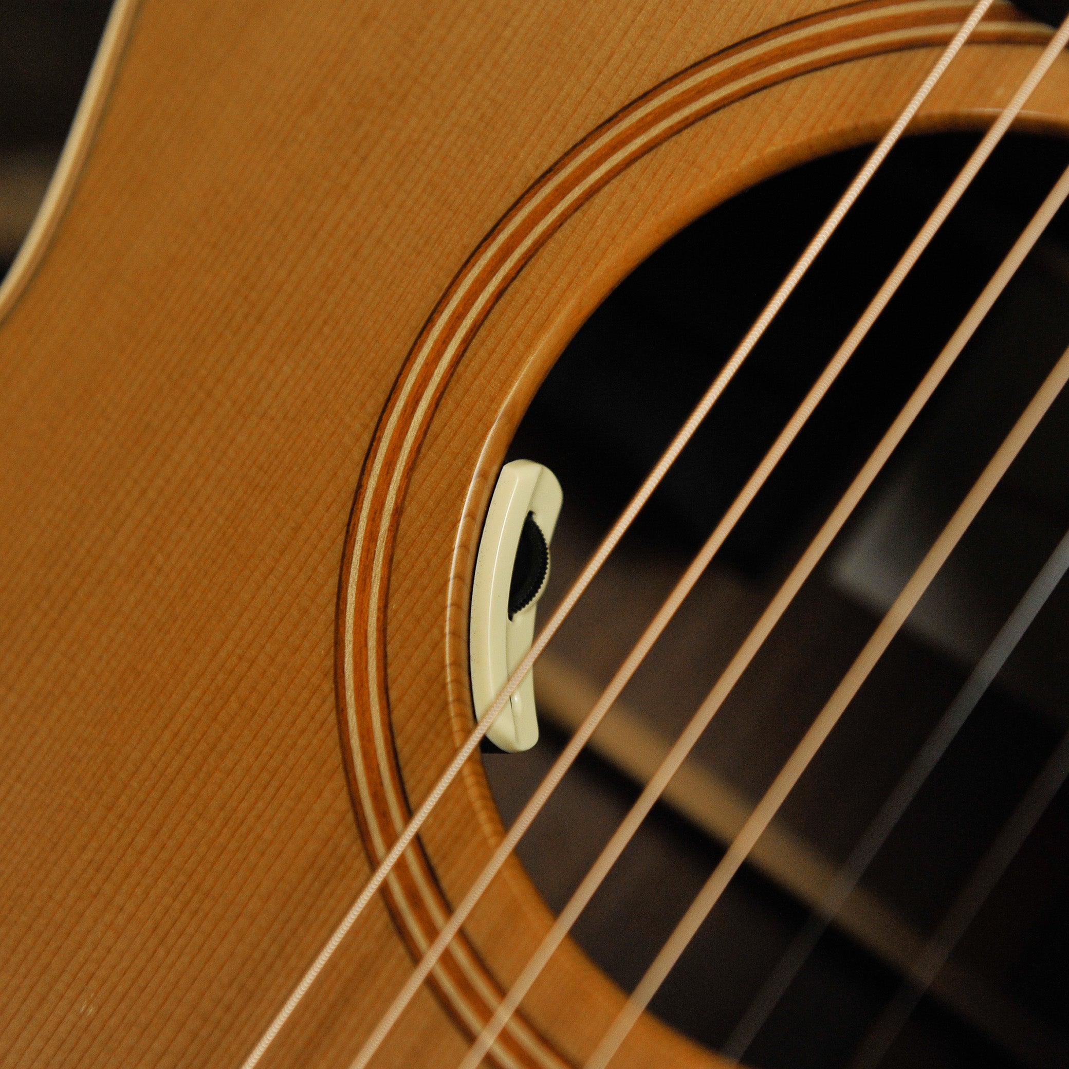 Lowden F-23 Walnut Cedar with Anthem SL Pickup System w/Case - Used
