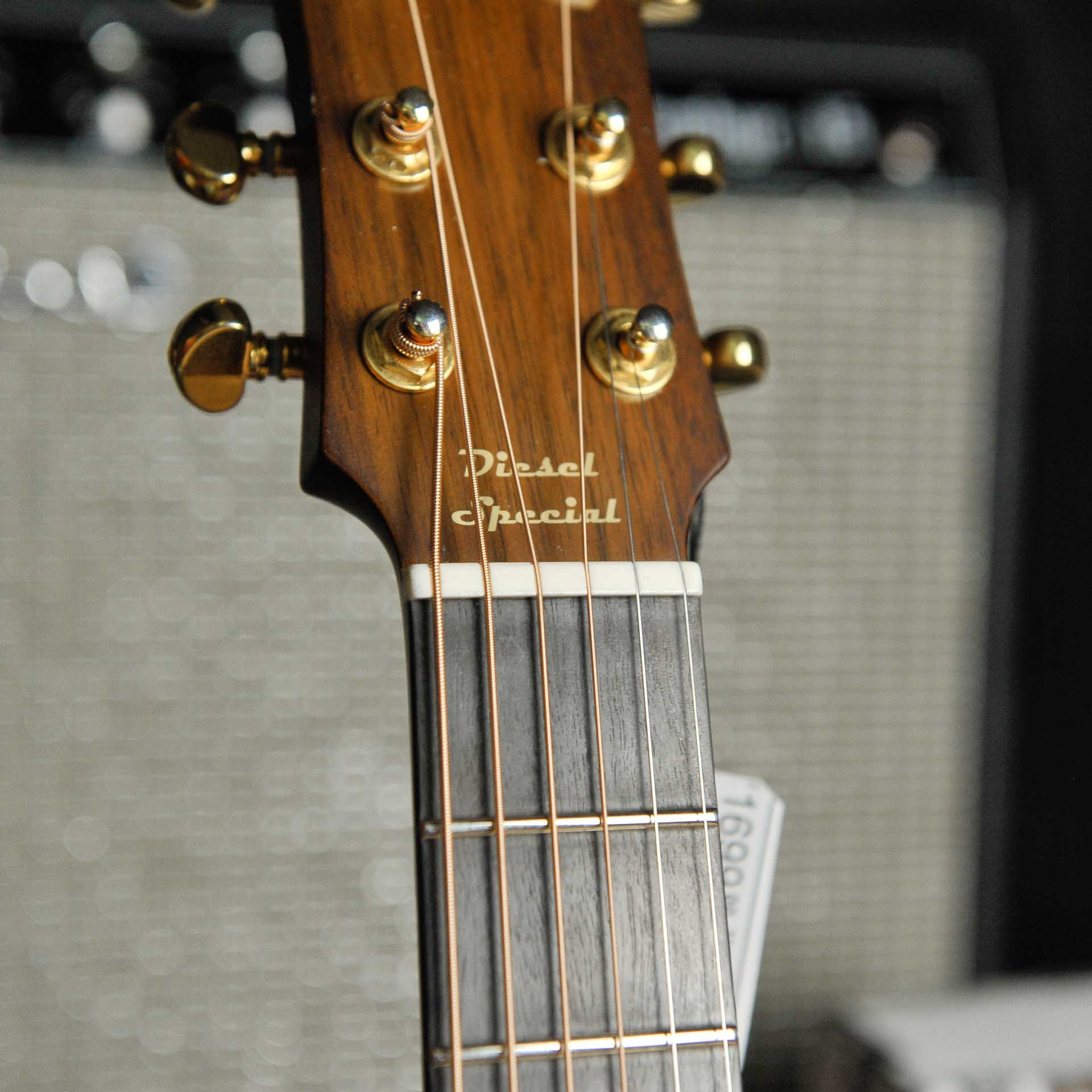 Maton EMD-6 Diesel Special w/Case  - Used