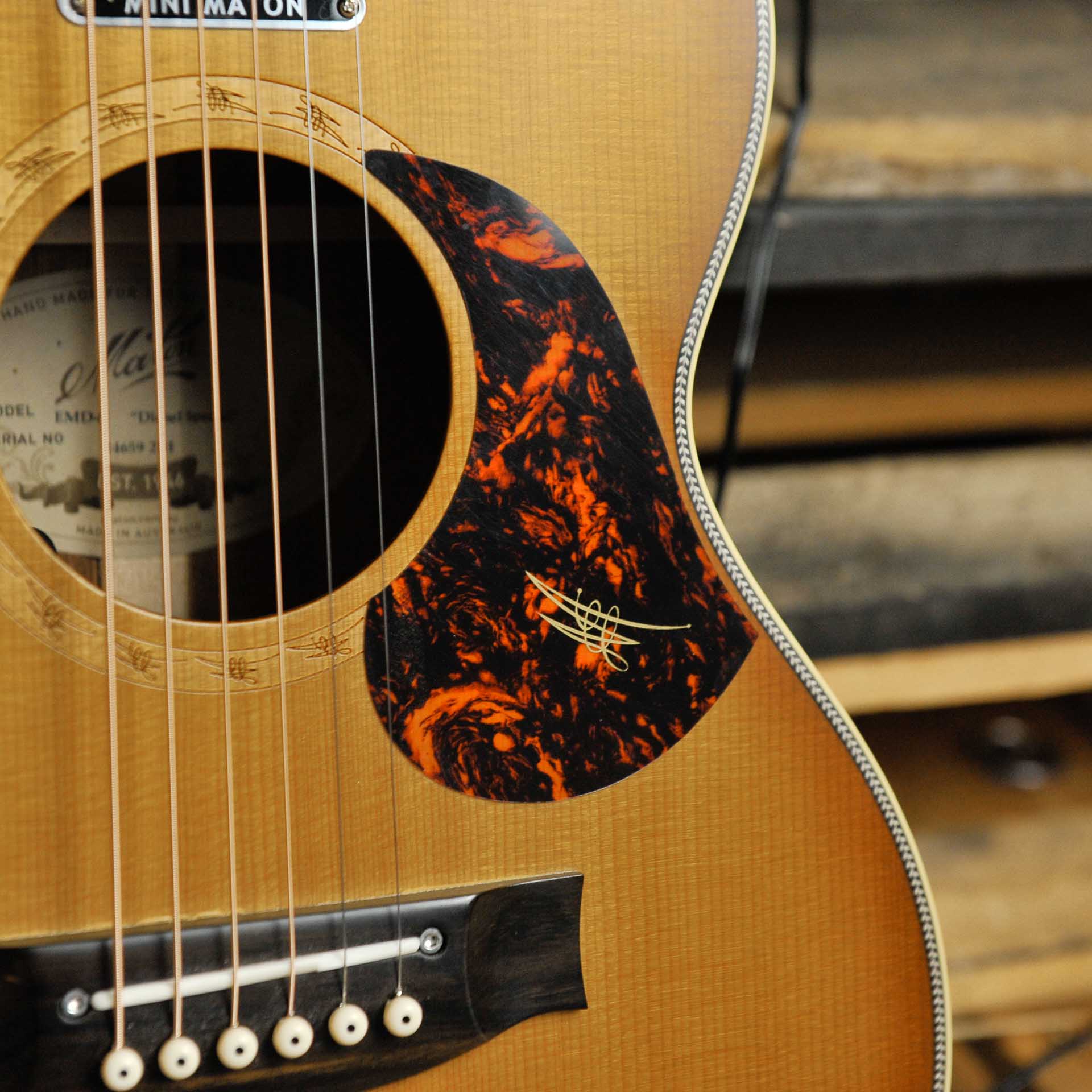 Maton EMD-6 Diesel Special w/Case  - Used