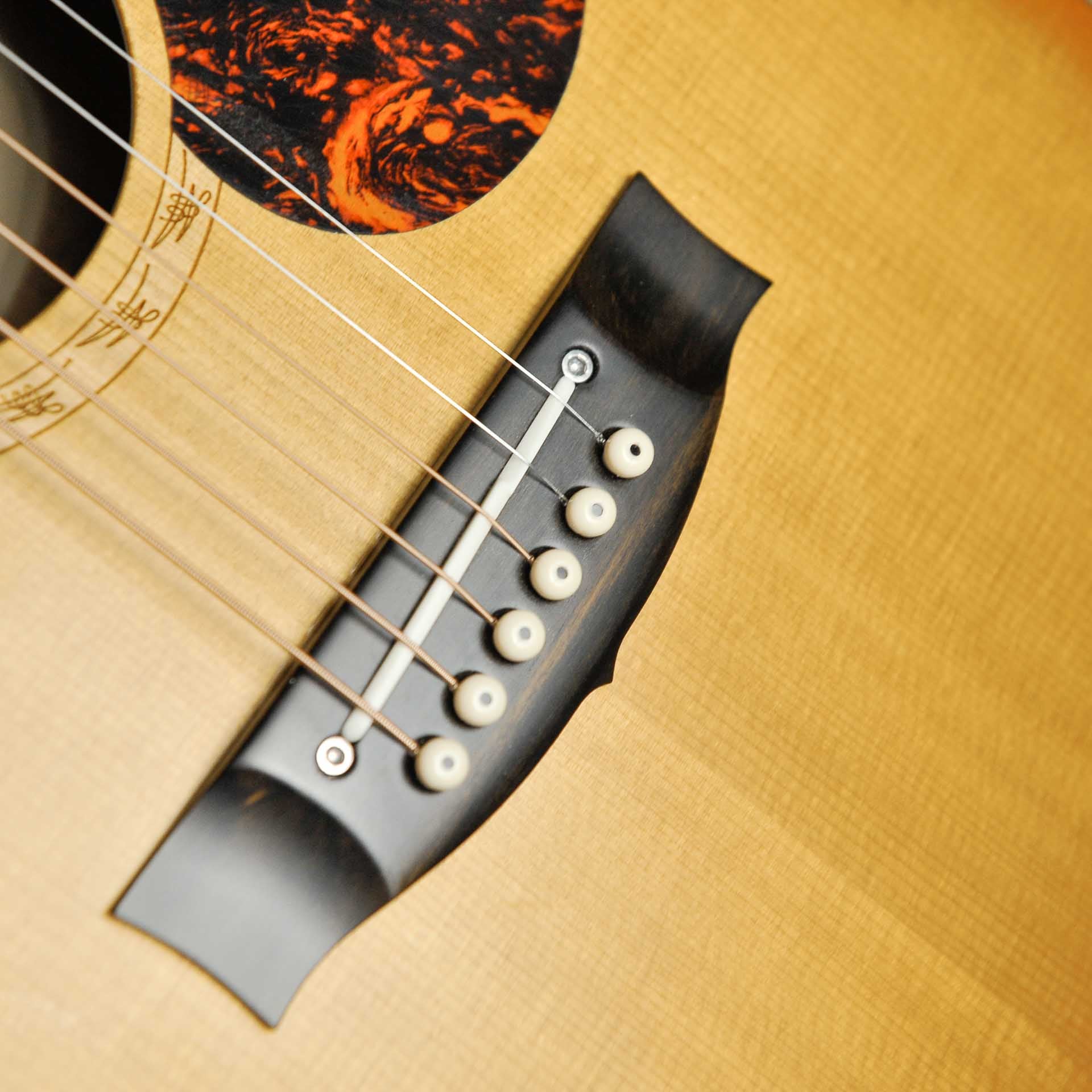 Maton EMD-6 Diesel Special w/Case  - Used