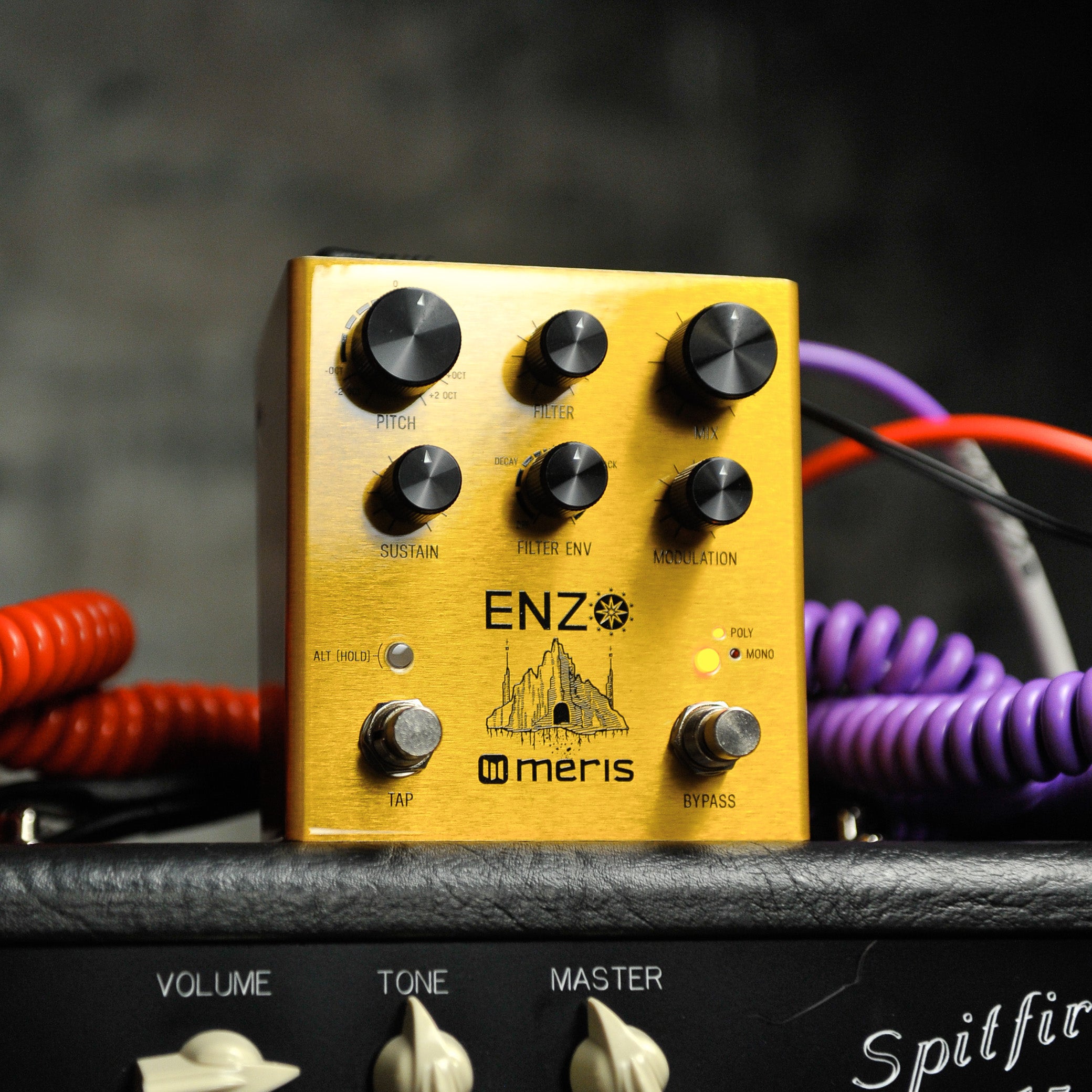 Meris Enzo Multi-Voice Instrument Synthesizer s#51264  - Used