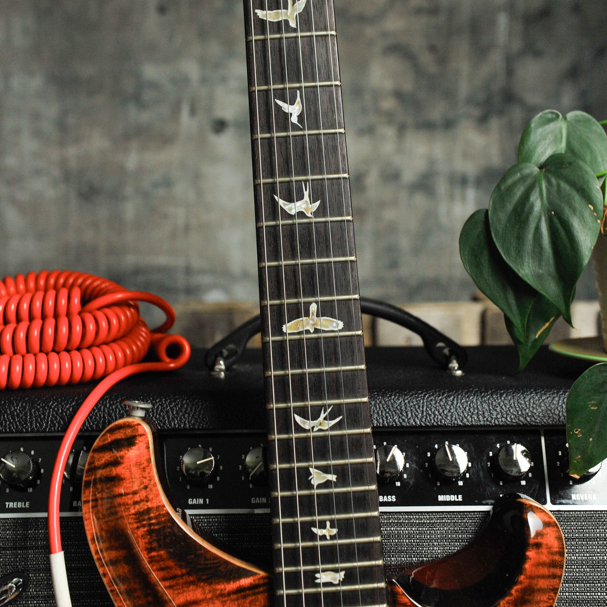 PRS Special Semi Hollow: Orange Tiger w/Case - Used