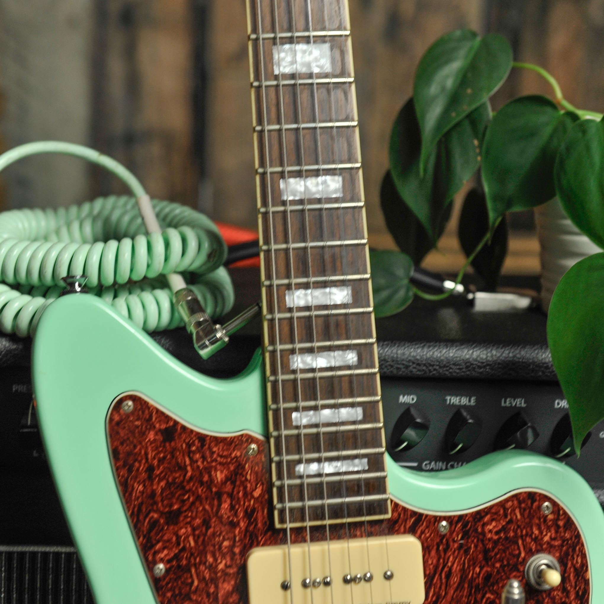 Pure Salem Guitars Woodsoul w/Duesenberg Tremolo & SKB TSA Case - Used