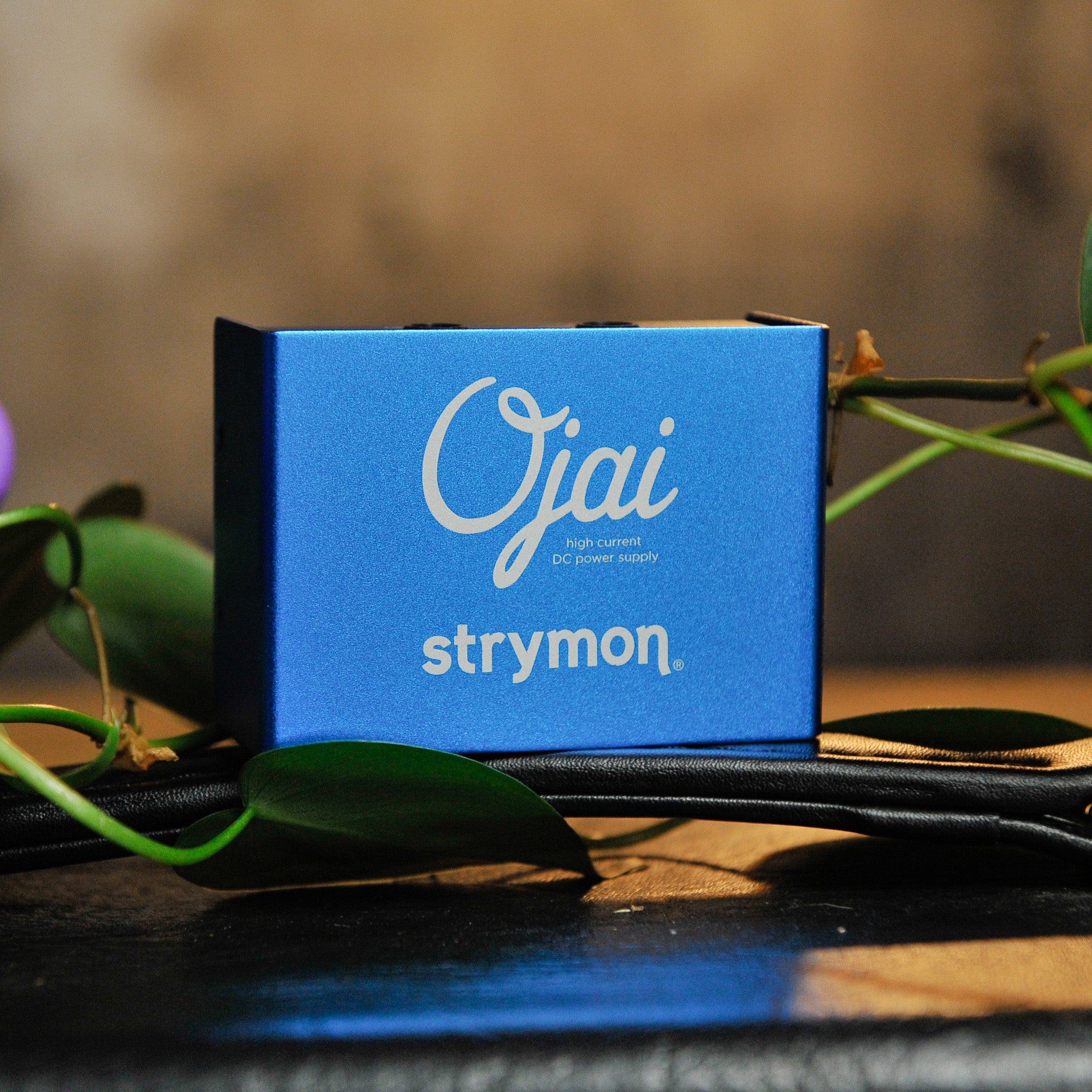 Strymon Ojai Compact Pedal Power Supply - Used