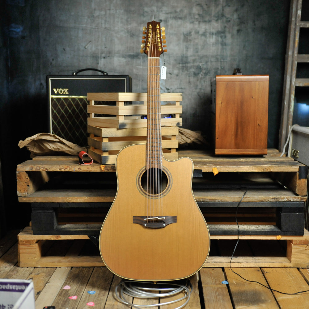 Takamine P3DC12 Dreadnought 12-String w/Case - Used