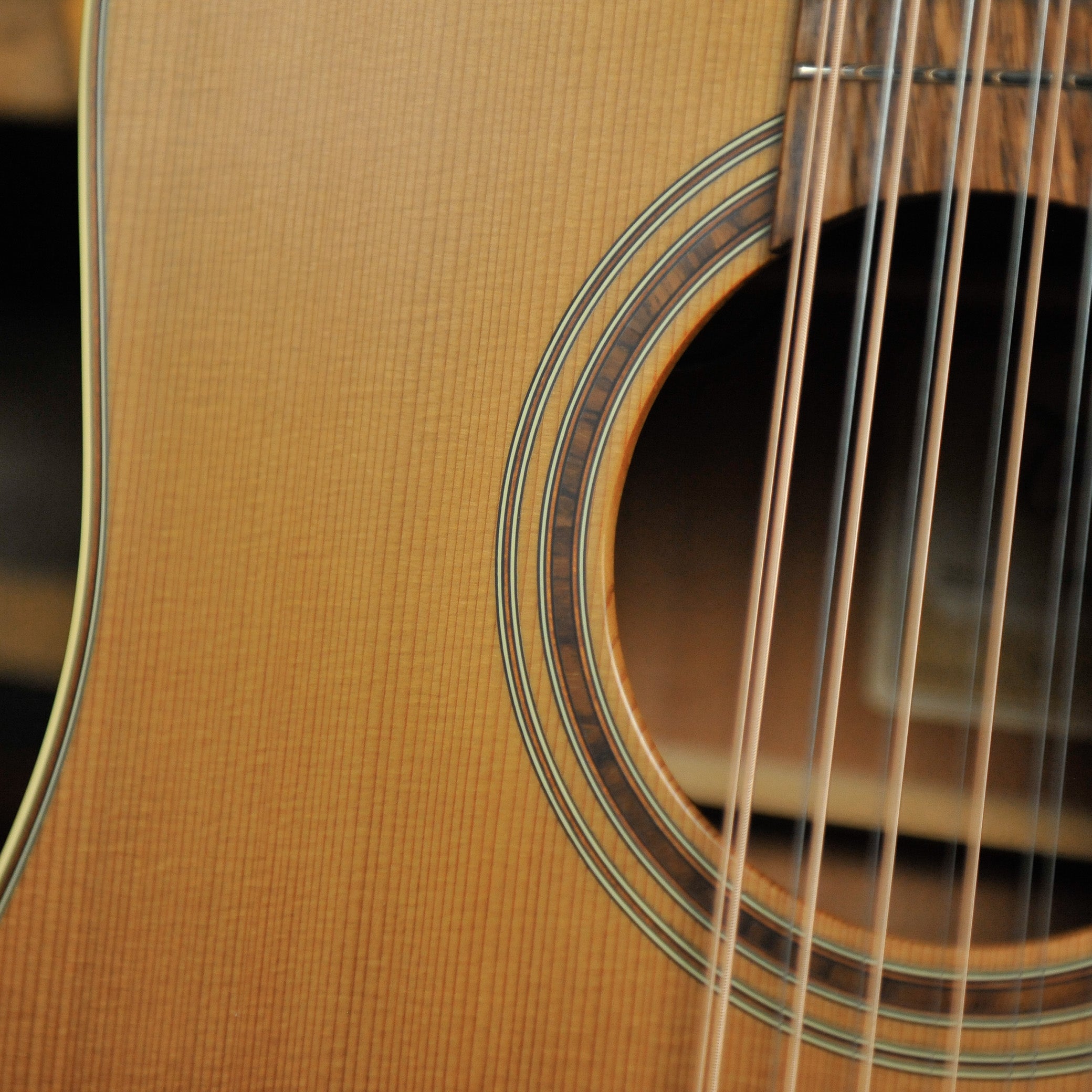 Takamine P3DC12 Dreadnought 12-String w/Case - Used