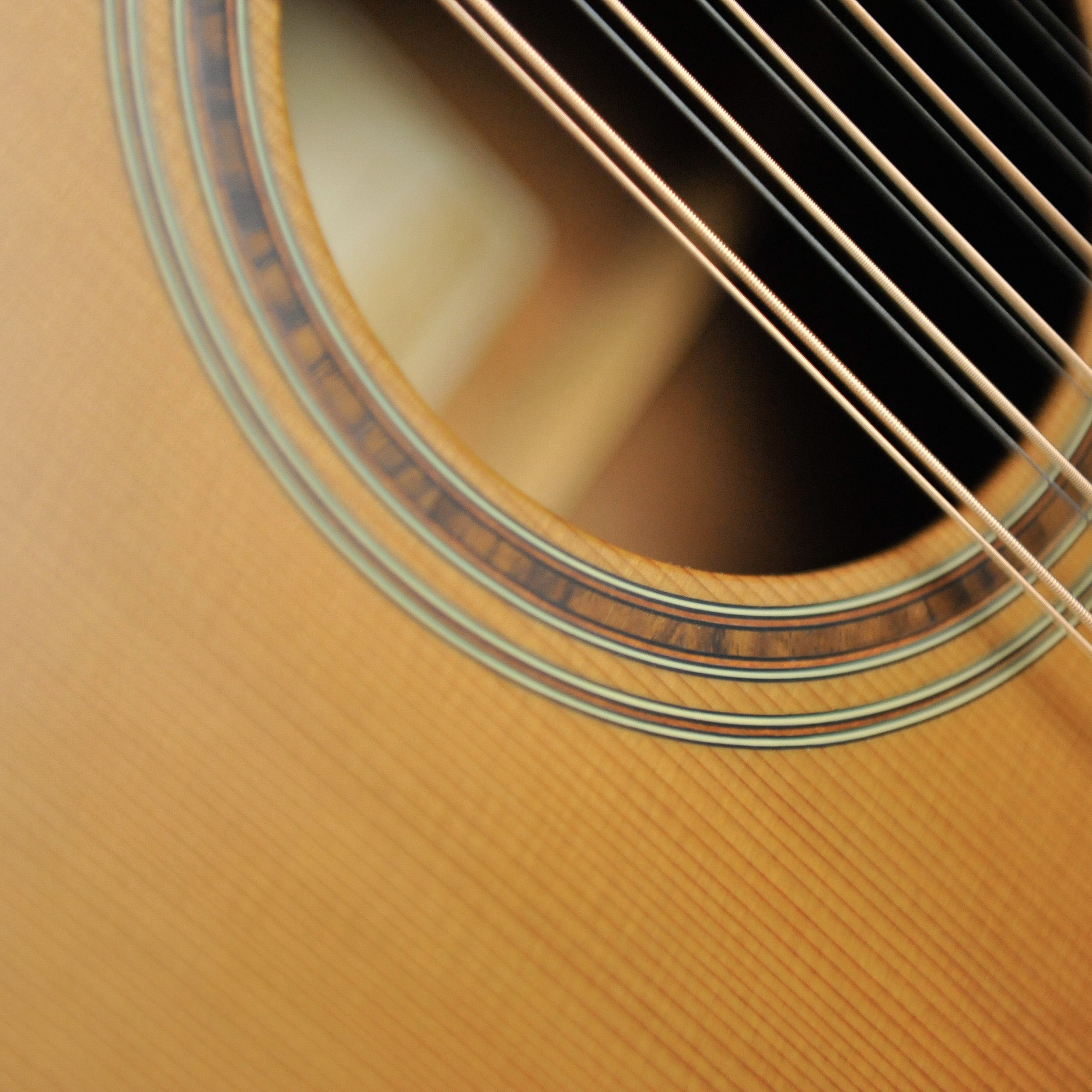 Takamine P3DC12 Dreadnought 12-String w/Case - Used