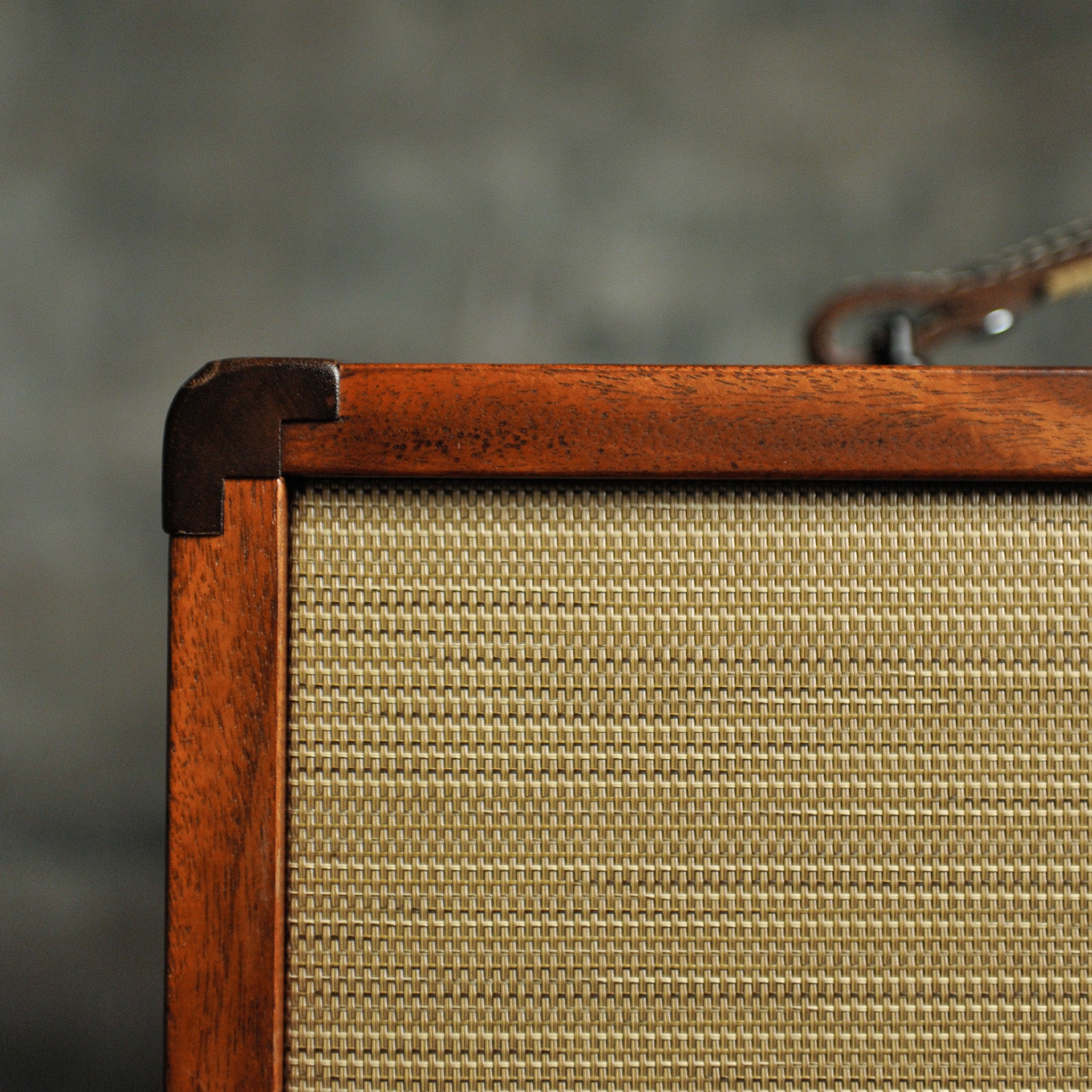 Taylor Circa 74 Acoustic Guitar Amplifier Mahogany - Used