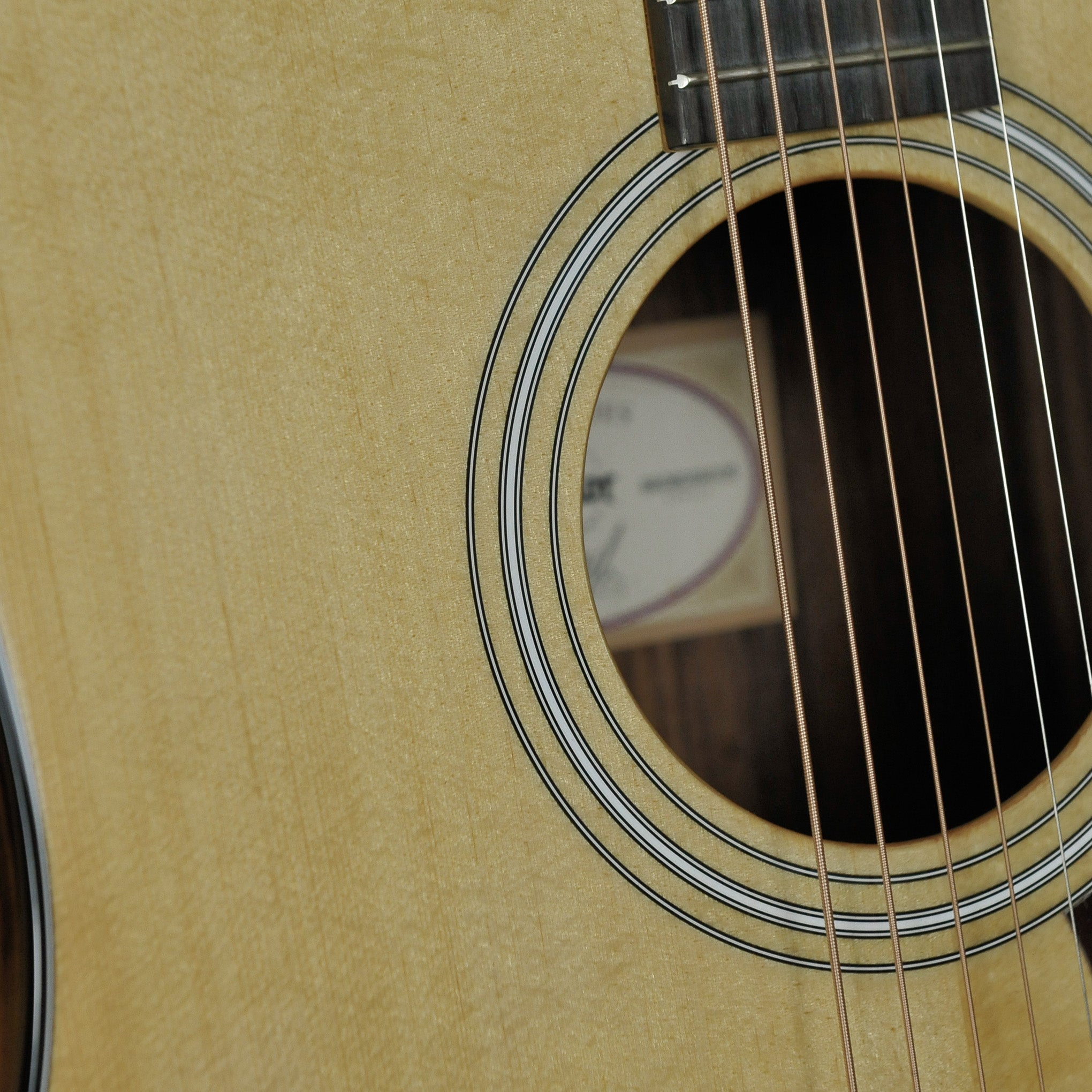 Taylor 210CE - Plus Dreadnought w/Case - Used