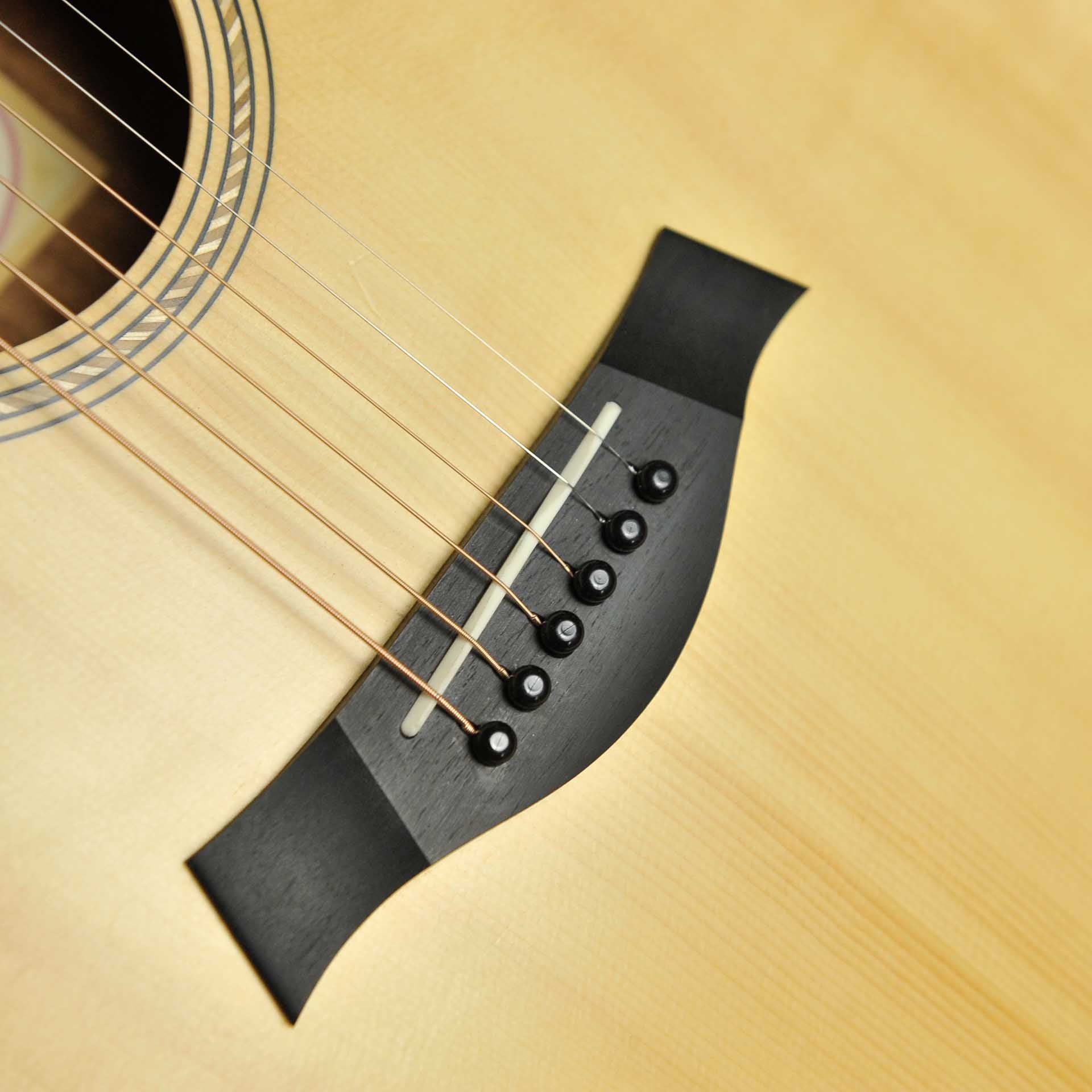 Taylor Academy 12 w/Case - Used