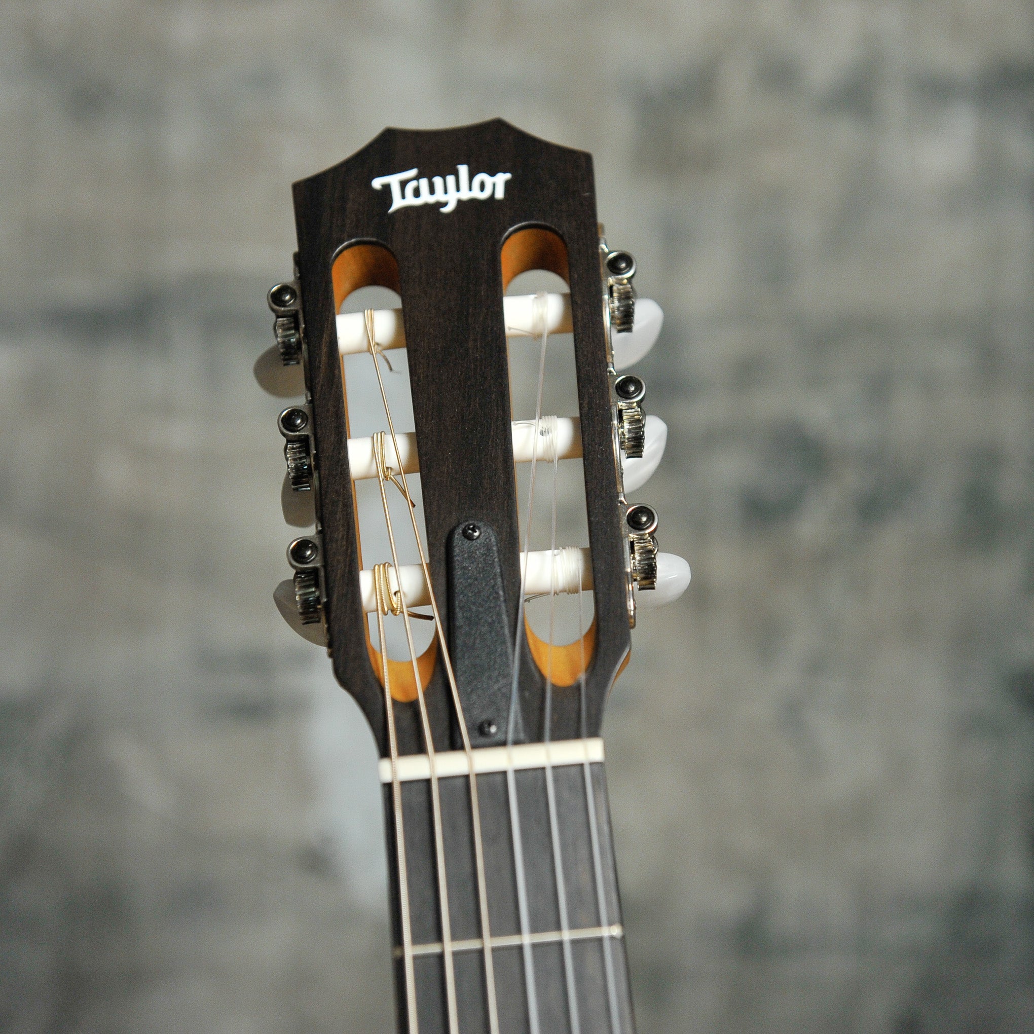 Taylor Academy 12N Nylon String w/Bag - Used