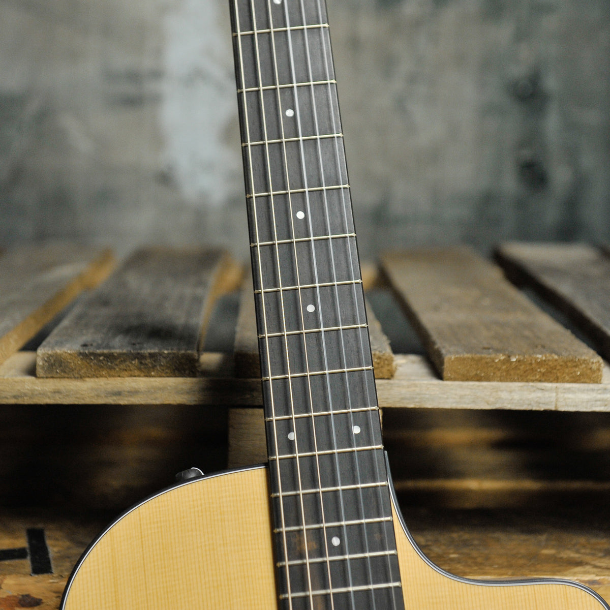 Taylor Academy 12N Nylon String w/Bag - Used