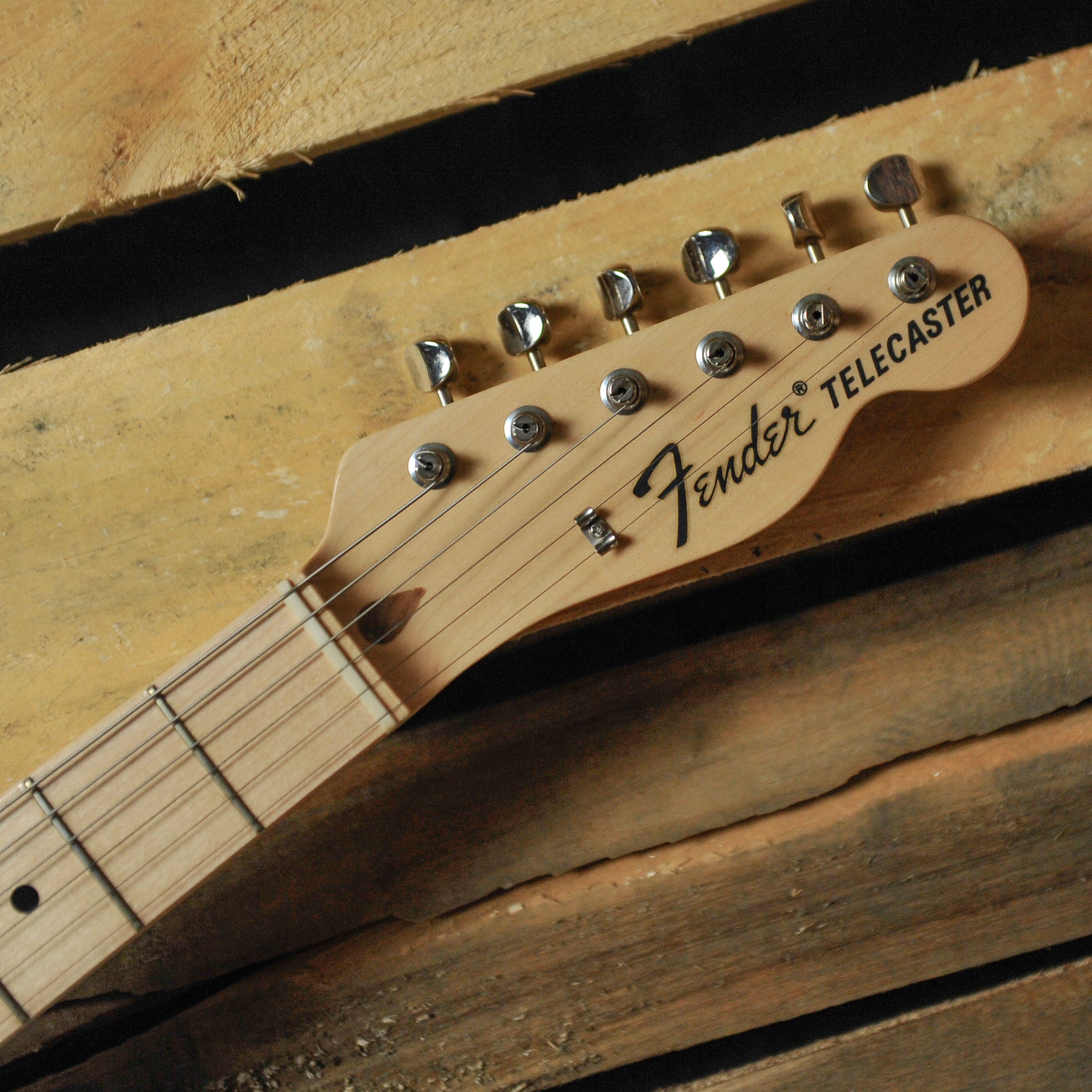 Fender MIJ Pink Paisley Telecaster w/Gig Bag - Used
