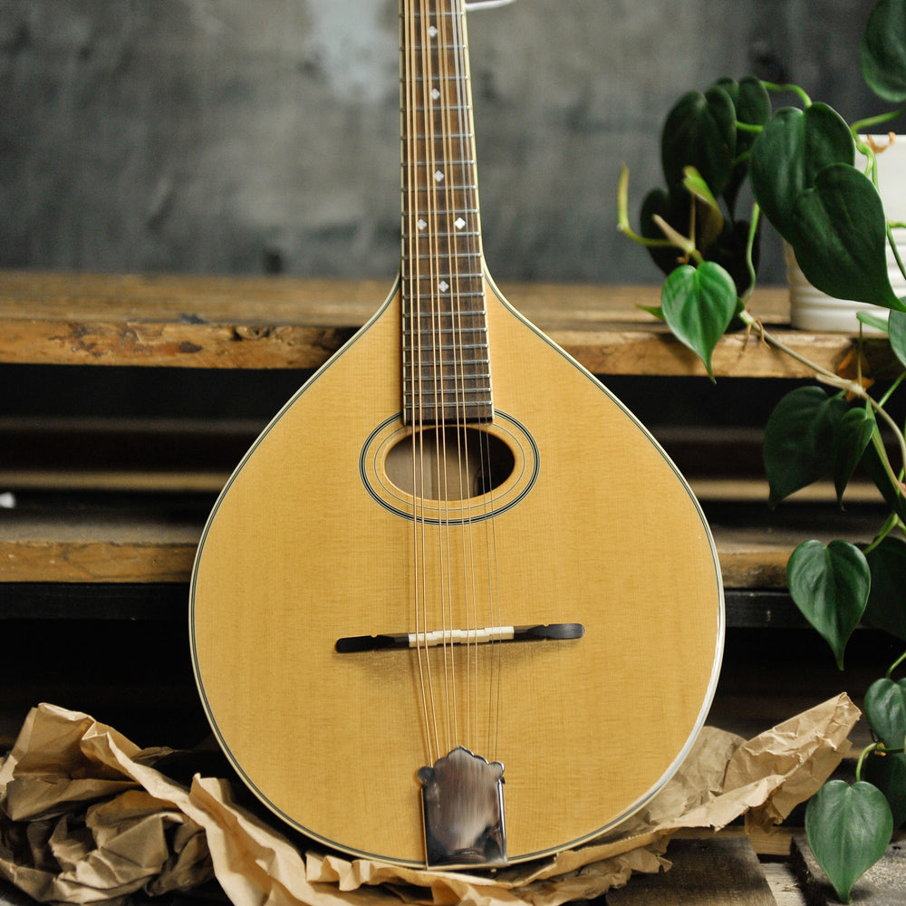Trinity College TM-275 Mandola w/Case - Used