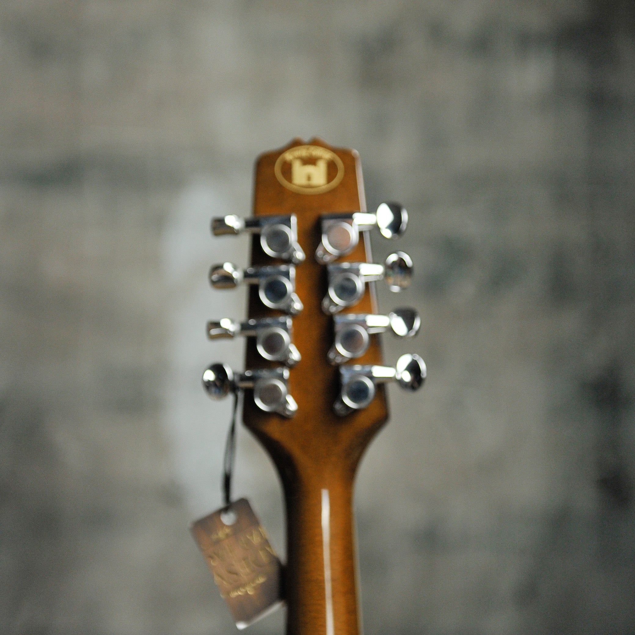 Trinity College TM-275 Mandola w/Case - Used