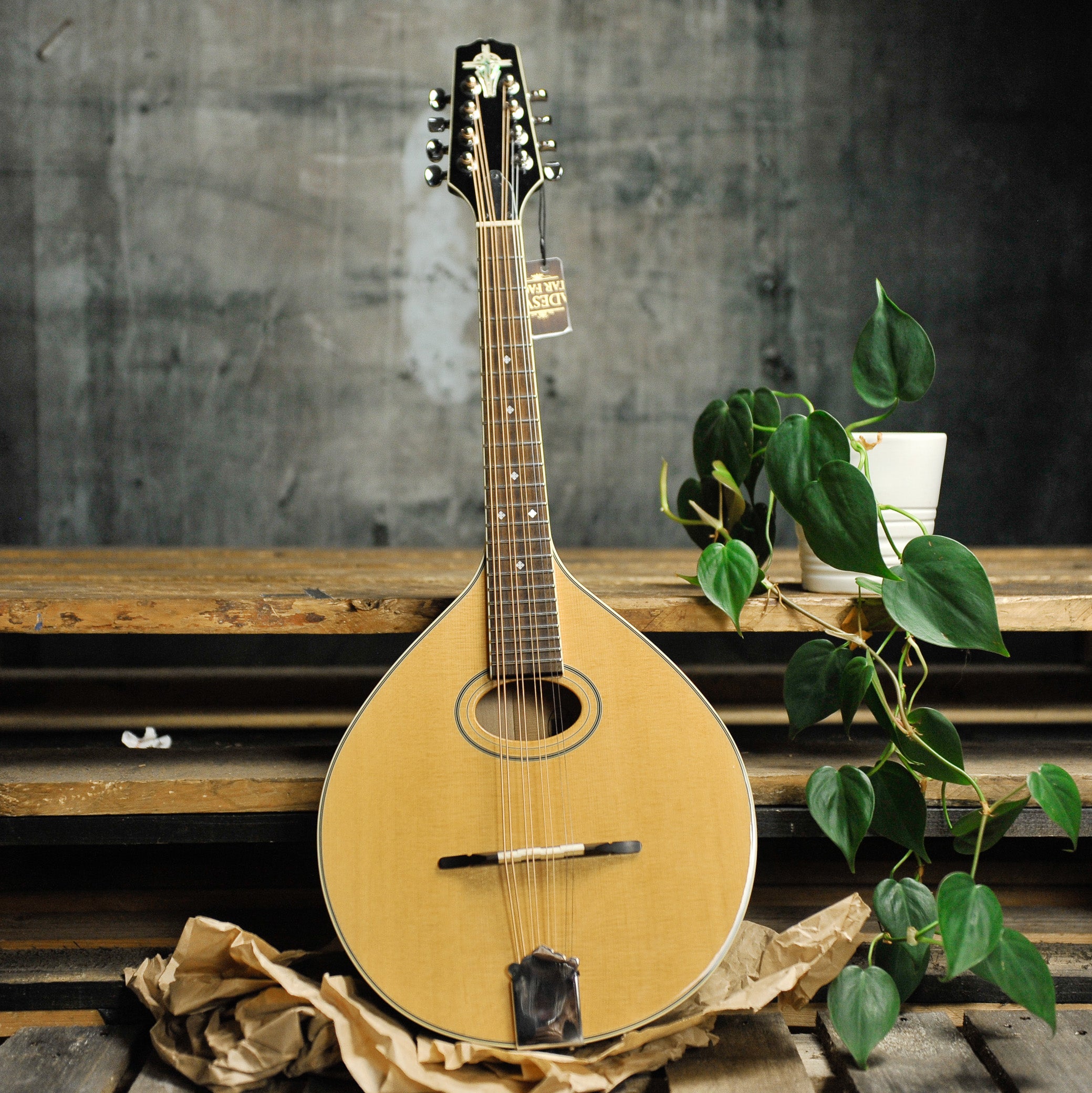 Trinity College TM-275 Mandola w/Case - Used
