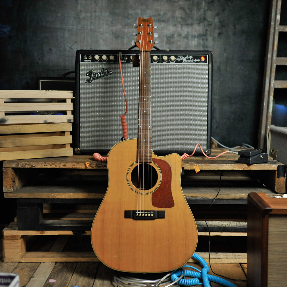 Washburn D-23-CE Dreadnought Acoustic Guitar - Used