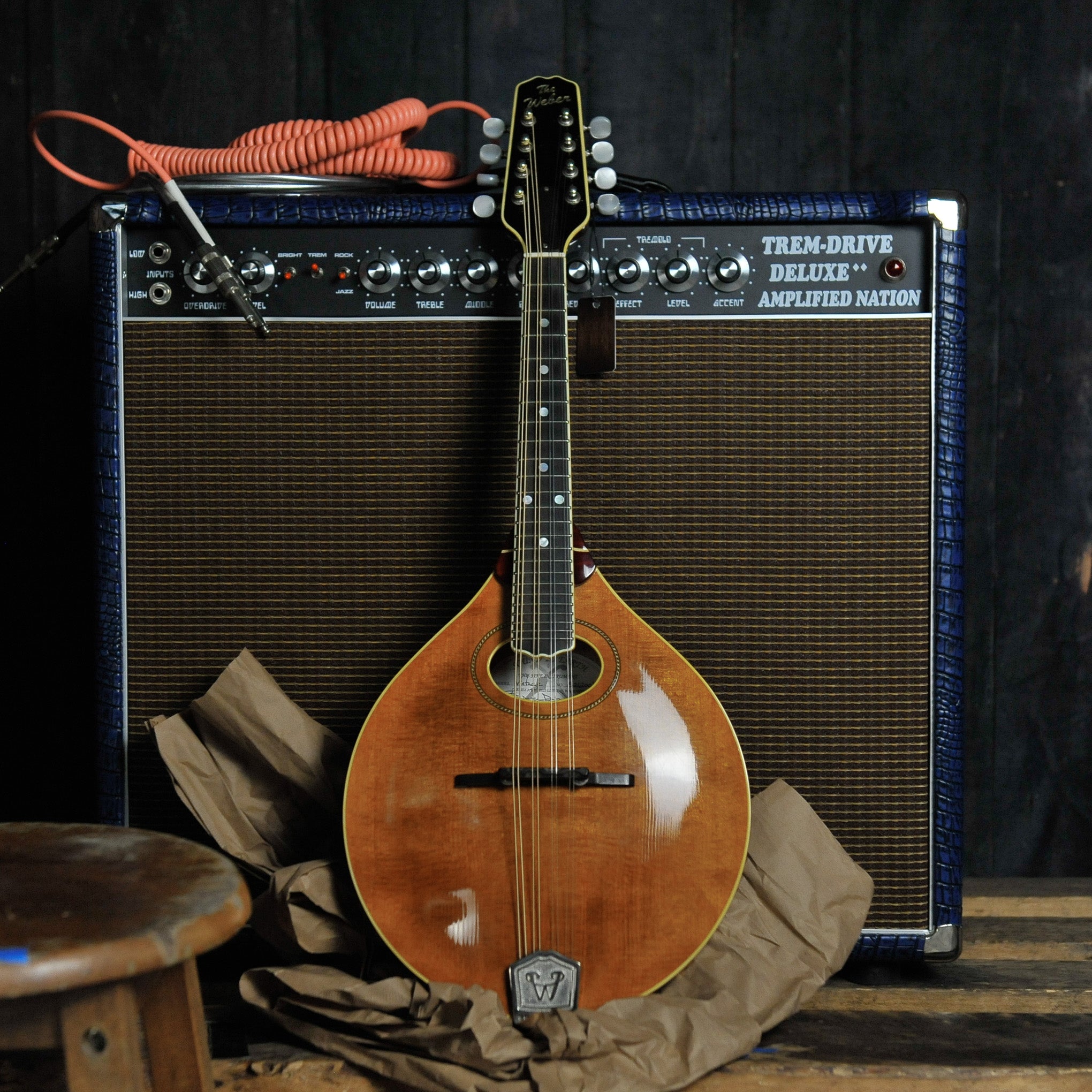 Weber A Style Vintage Mandolin w/Case - Used