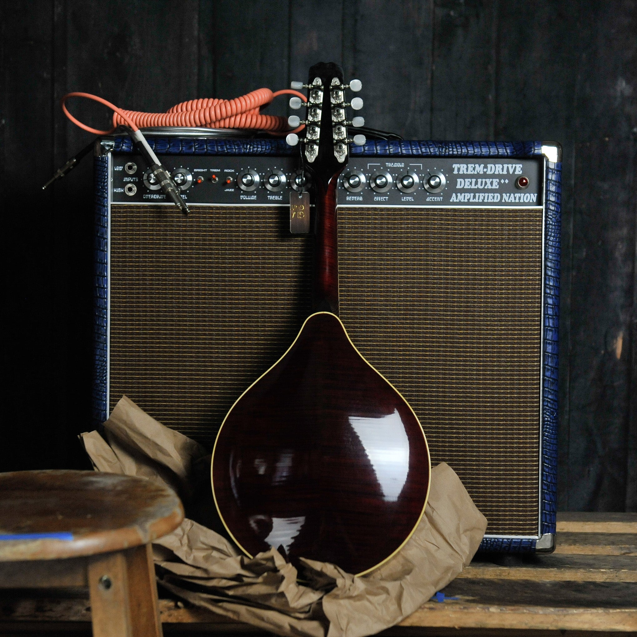 Weber A Style Vintage Mandolin w/Case - Used