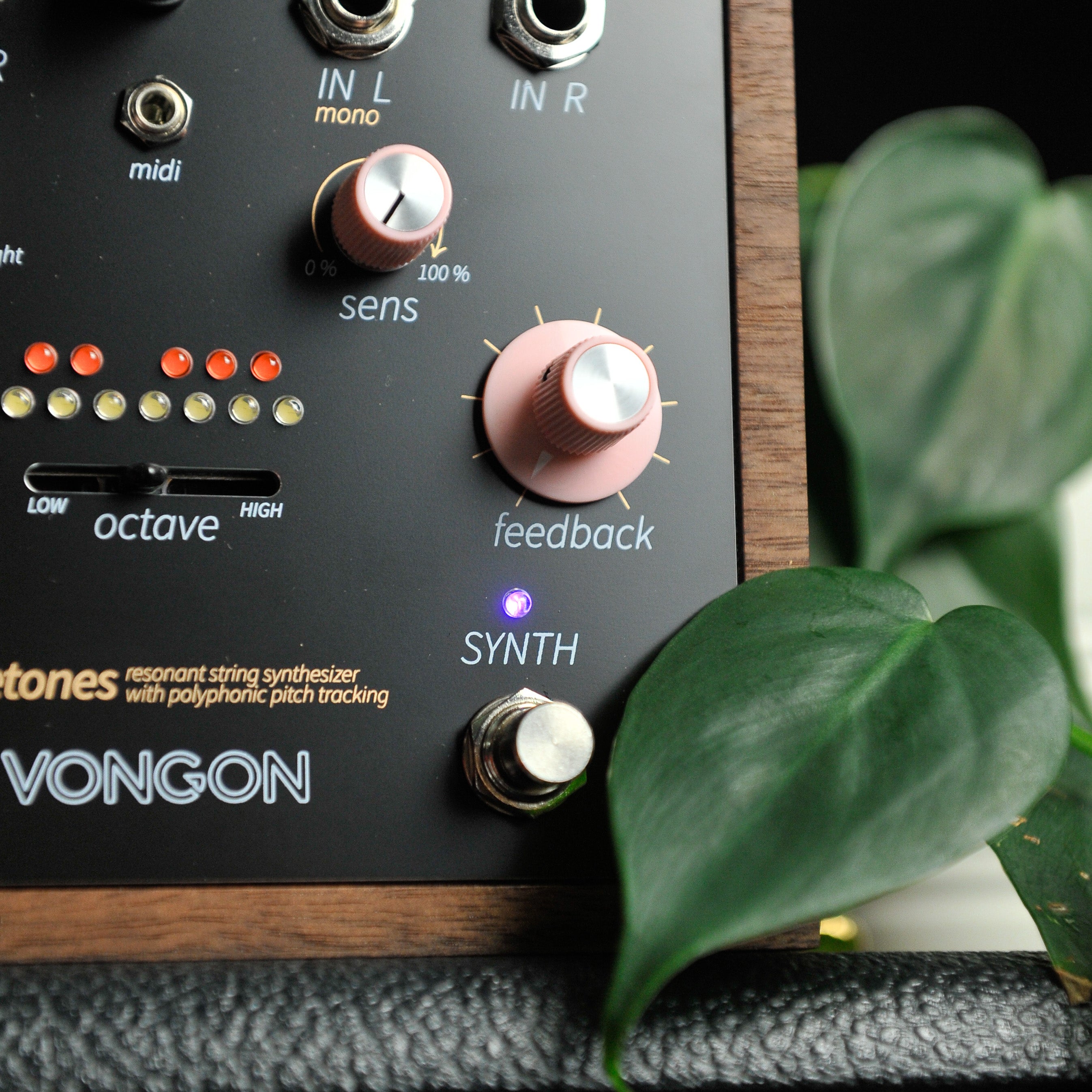 Vongon Rosetones Resonant String Synthesizer Pedal