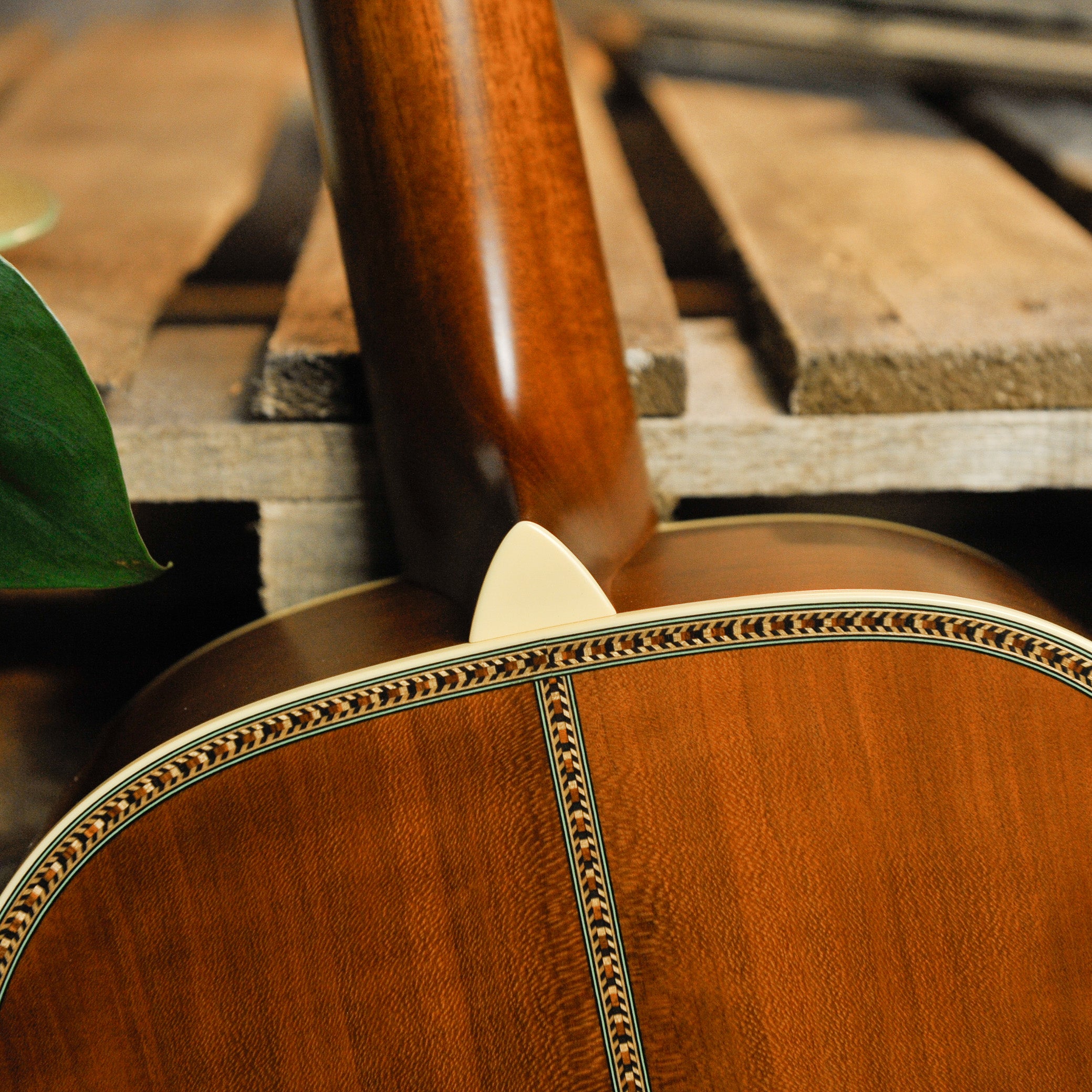 Waterloo WLS Deluxe Acoustic Guitar #WL3922