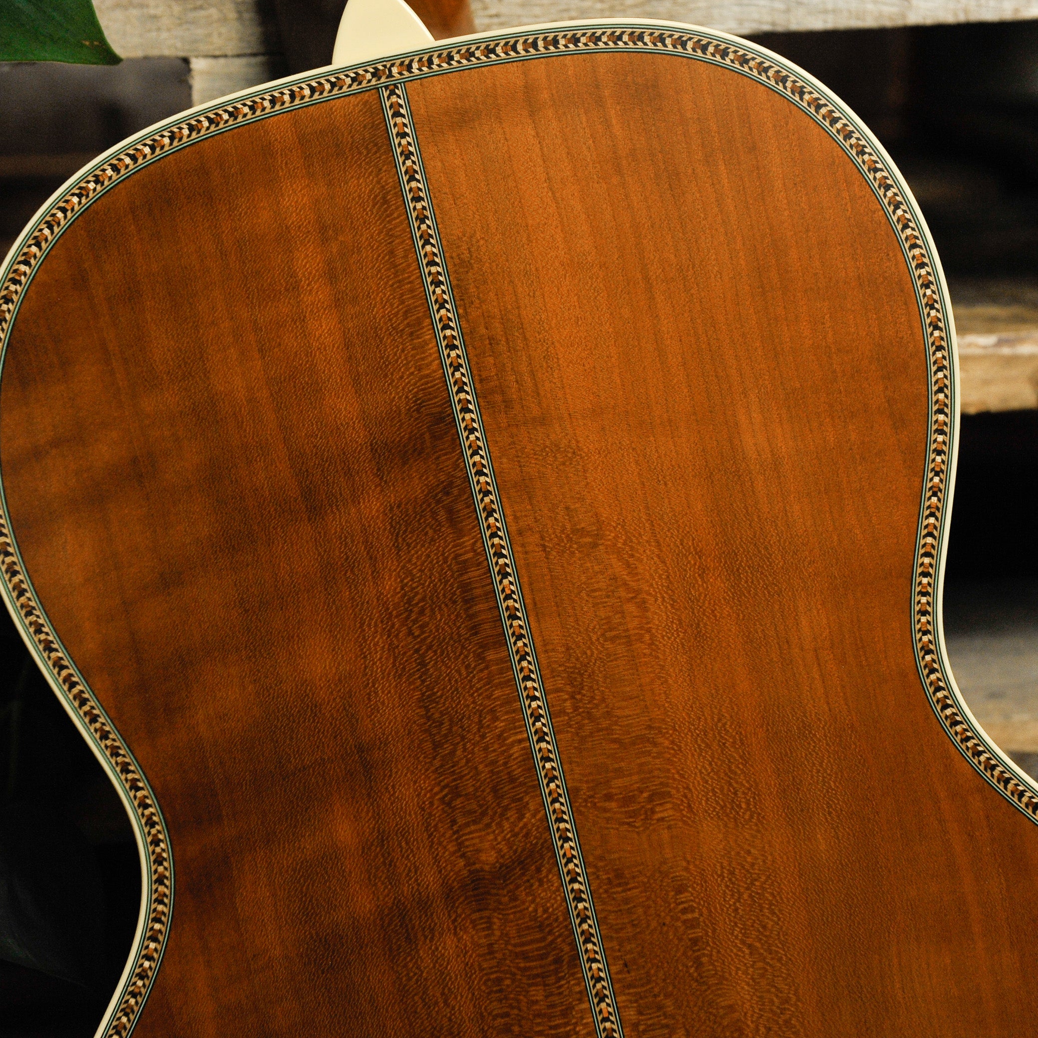 Waterloo WLS Deluxe Acoustic Guitar #WL3922