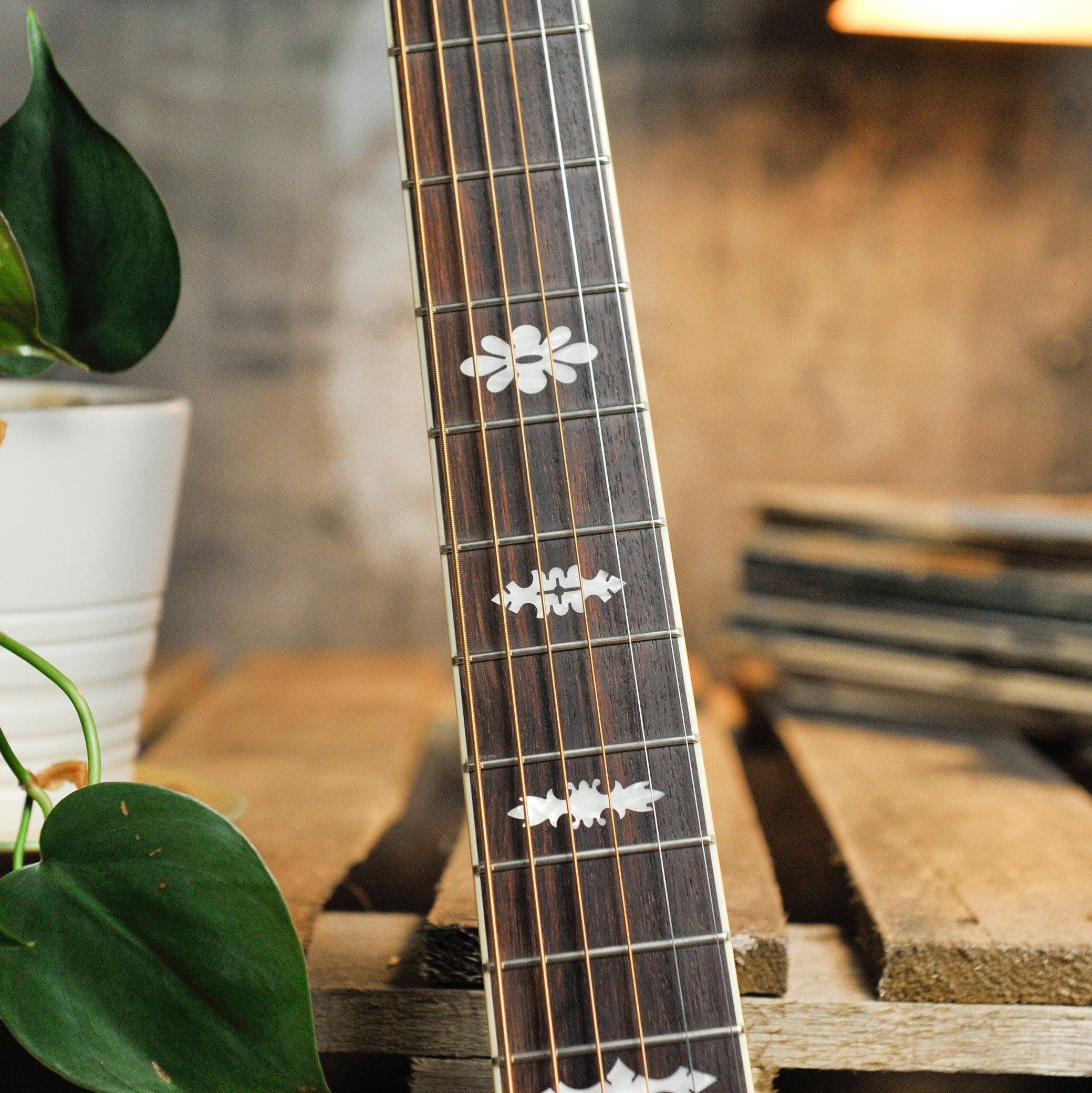 Waterloo WLS Deluxe Acoustic Guitar #WL3922