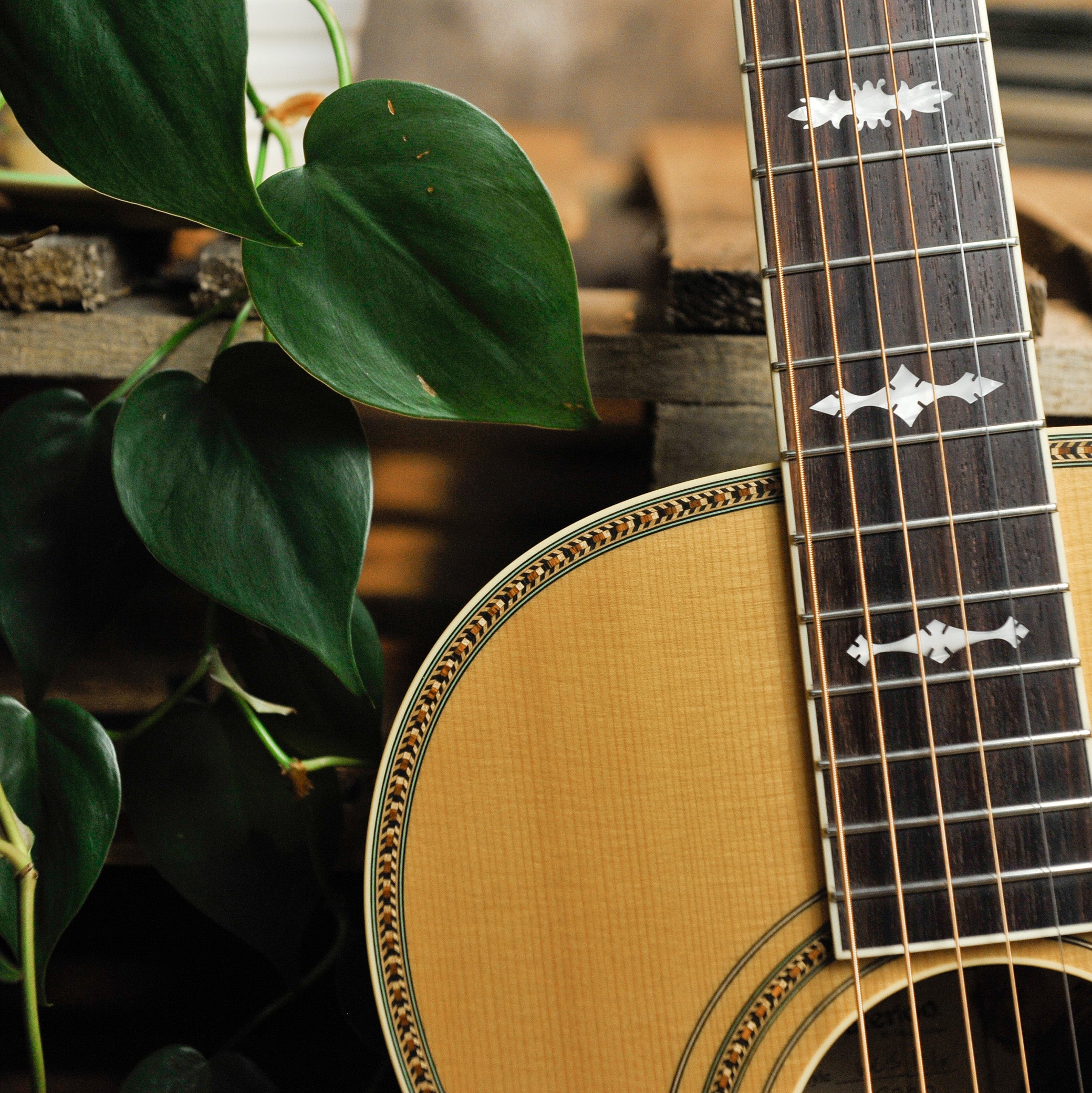 Waterloo WLS Deluxe Acoustic Guitar #WL3922