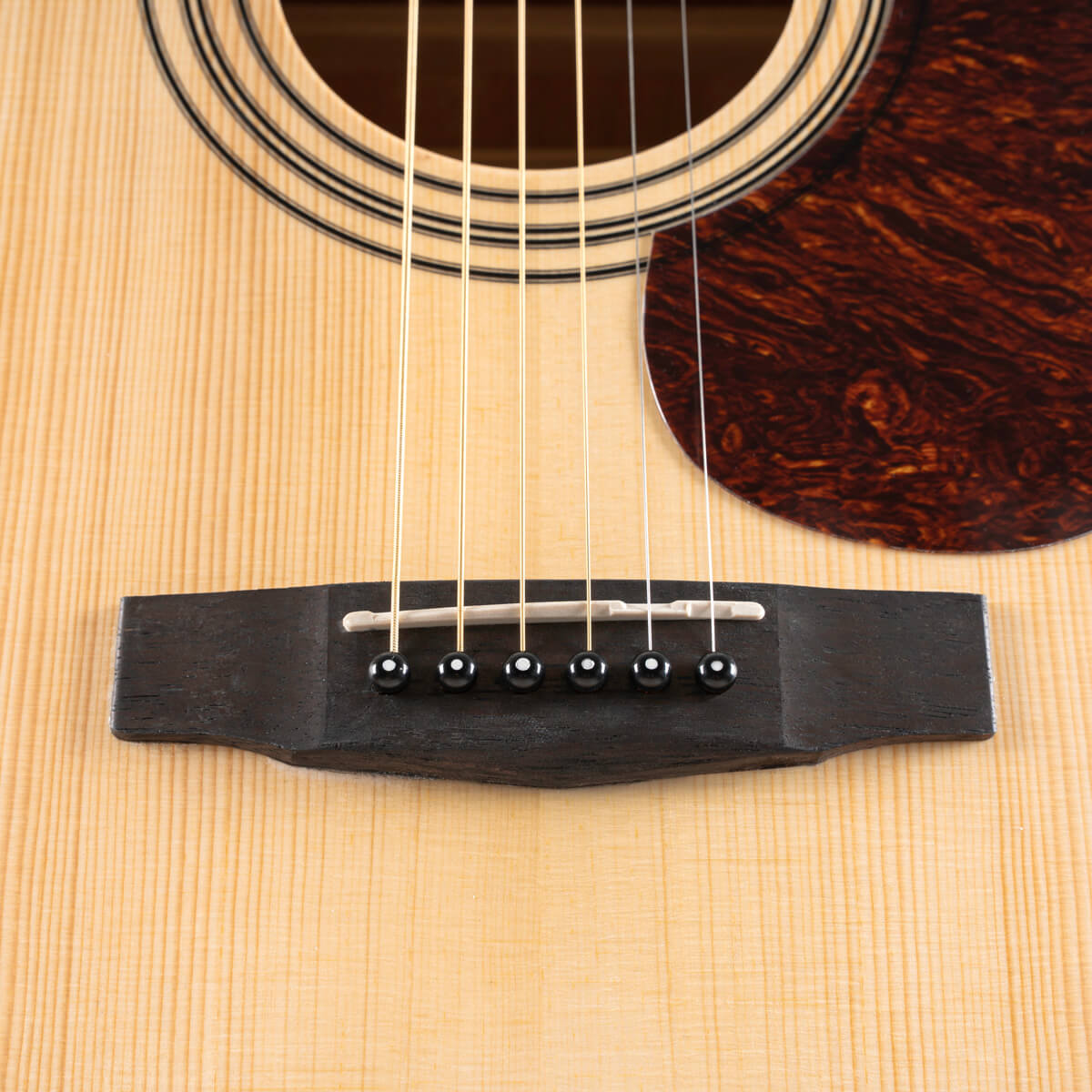 Cort Earth 60 Pack Acoustic Guitar Pack With Solid Top