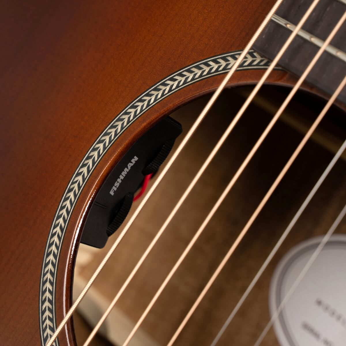 Cort Essence GA4 Special BRSG Torrefied Adirondack Spruce / Australian Blackwood