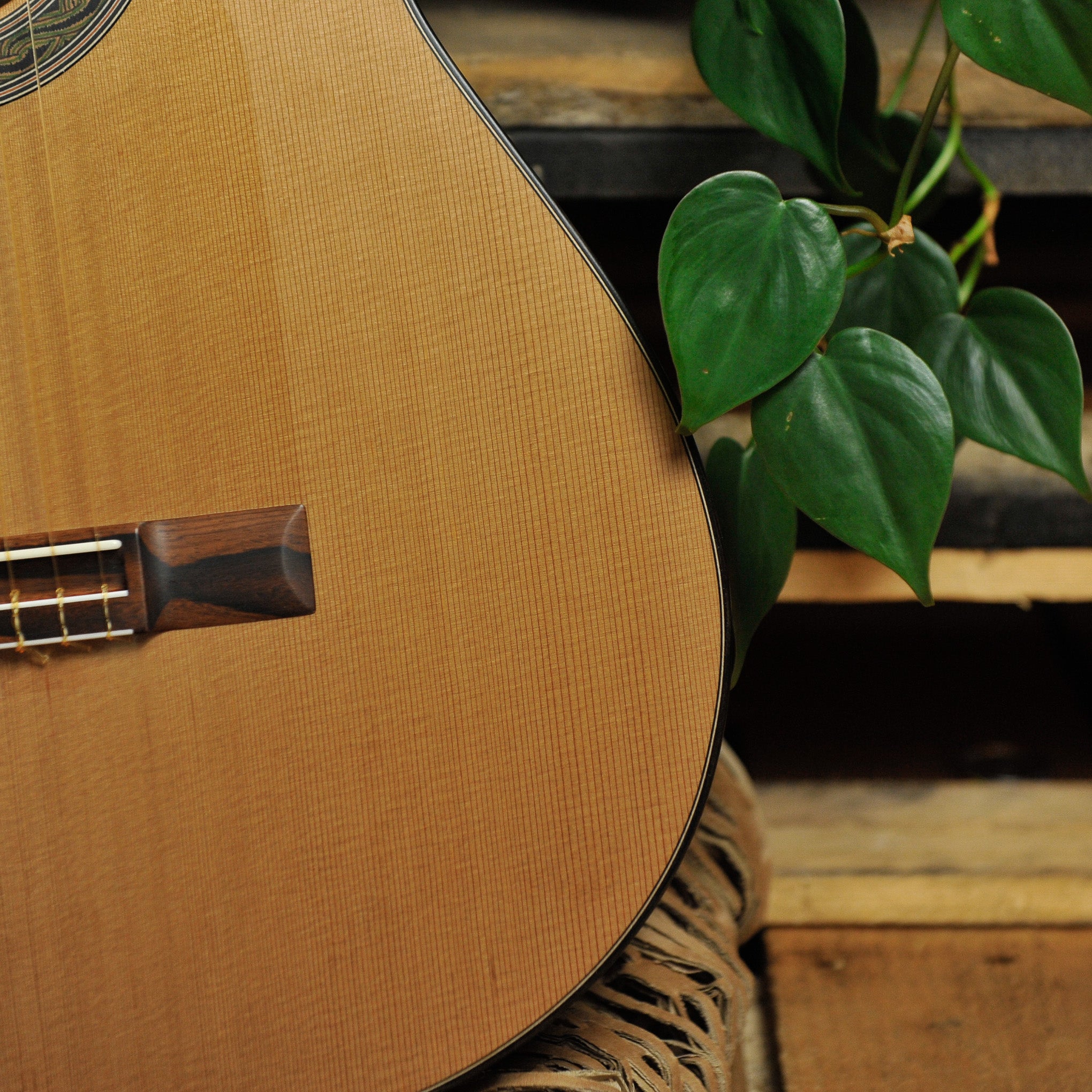 Kim Lissarrague  Cedar and Ziricote Handmade Classical 2026/452 w/Case