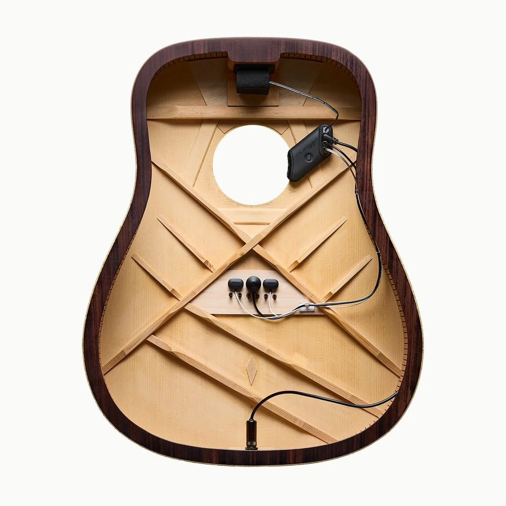LR Baggs DUET HIFI High-Fidelity Pickup + Microphone Mixing System