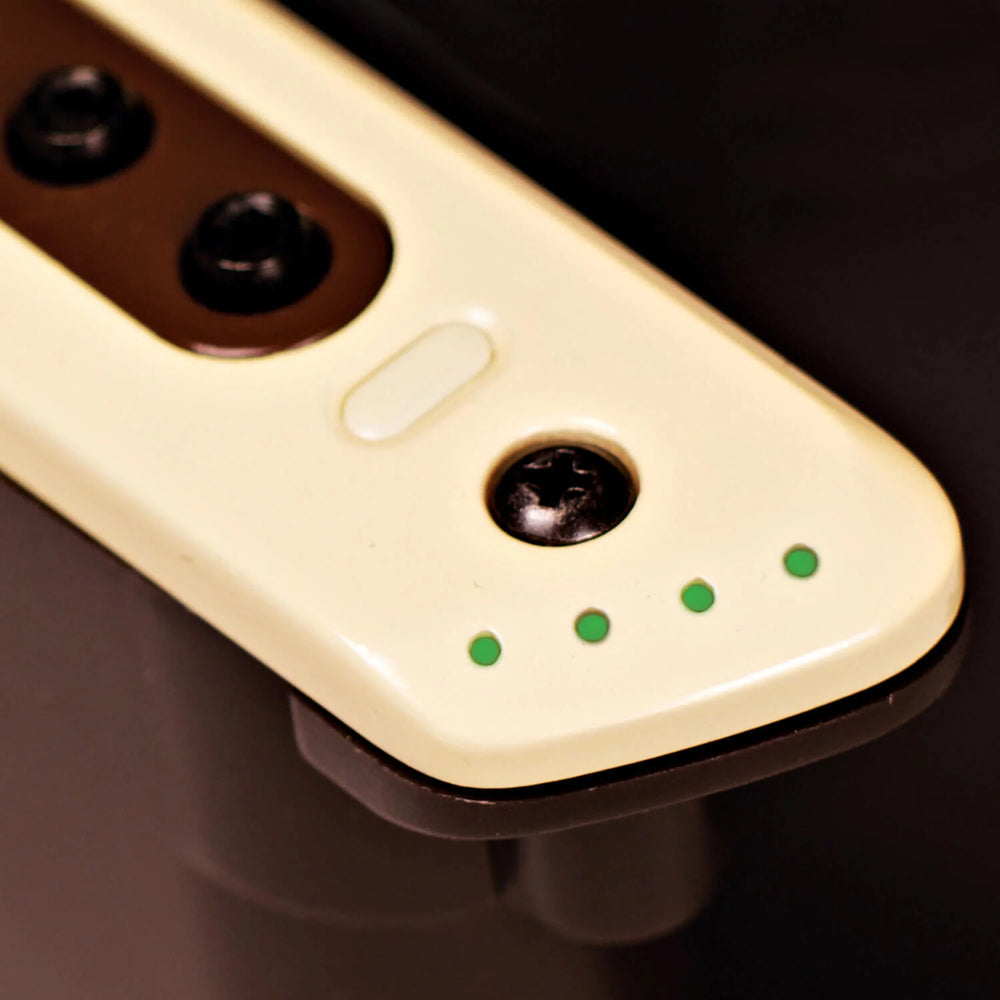 LR Baggs M80 Acoustic Soundhole Pickup