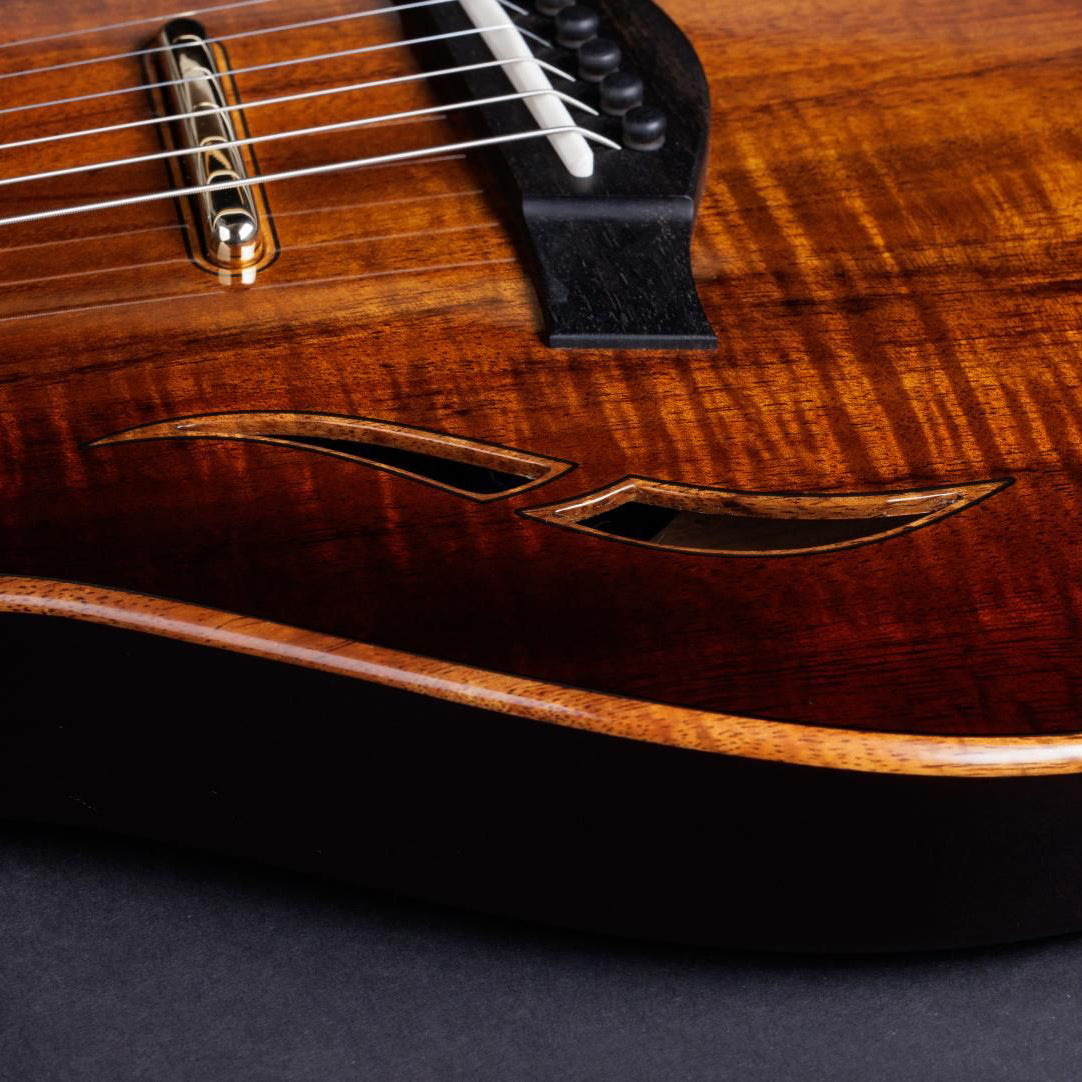 Taylor T5z Custom Hollowbody Koa, Gold