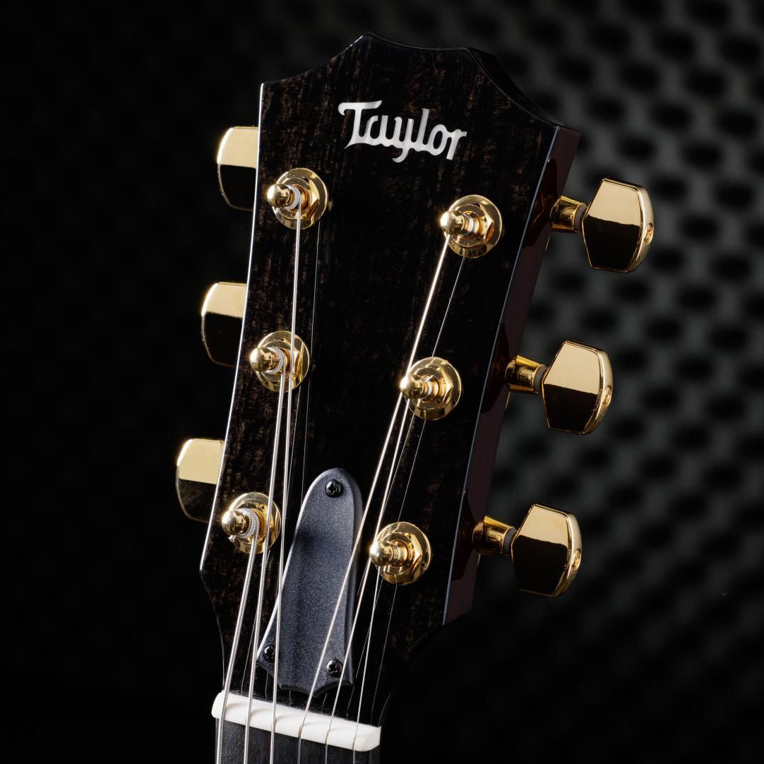 Taylor T5z Custom Hollowbody Koa, Gold