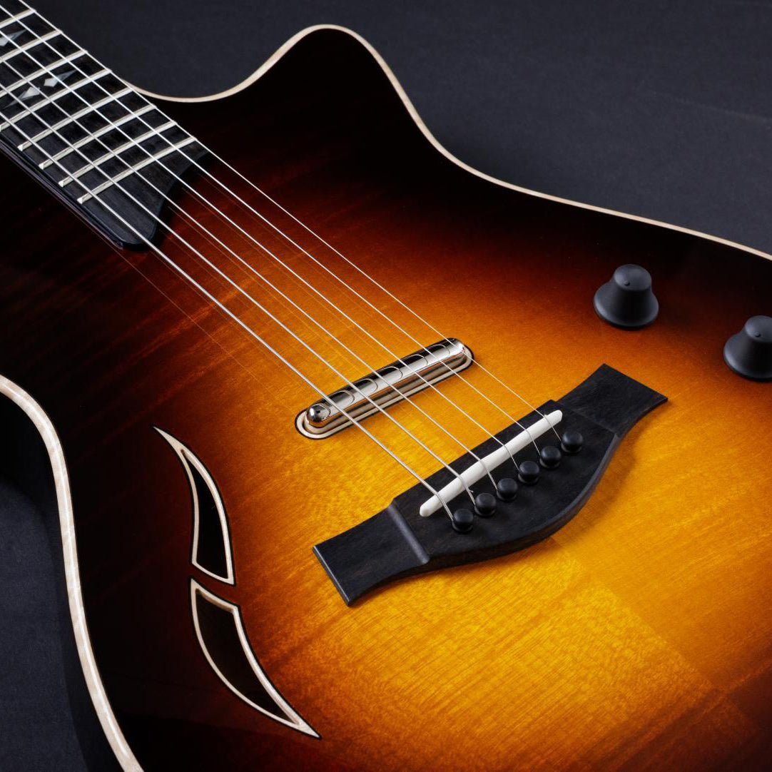 Taylor T5z Pro Hollowbody Tobacco Sunburst