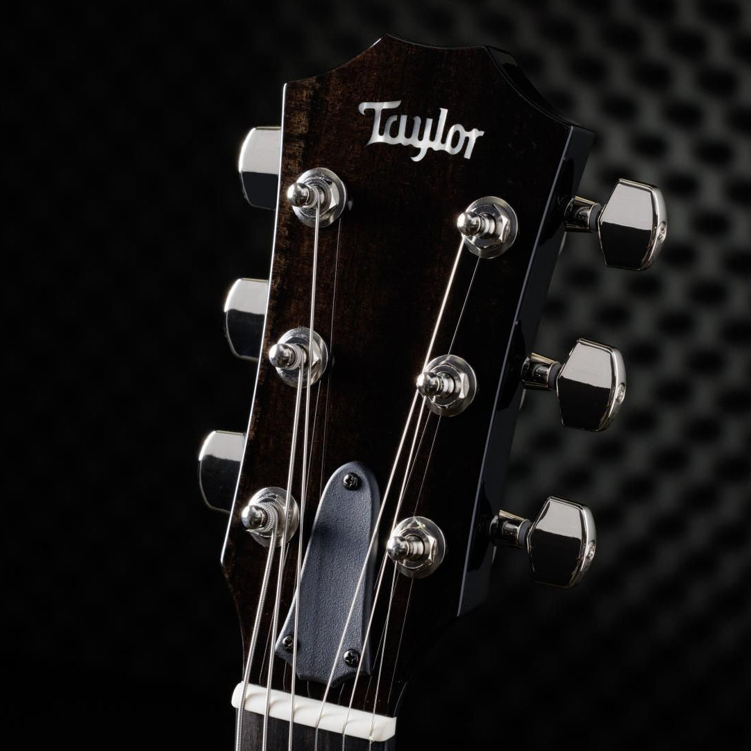 Taylor T5z Pro Hollowbody Tobacco Sunburst