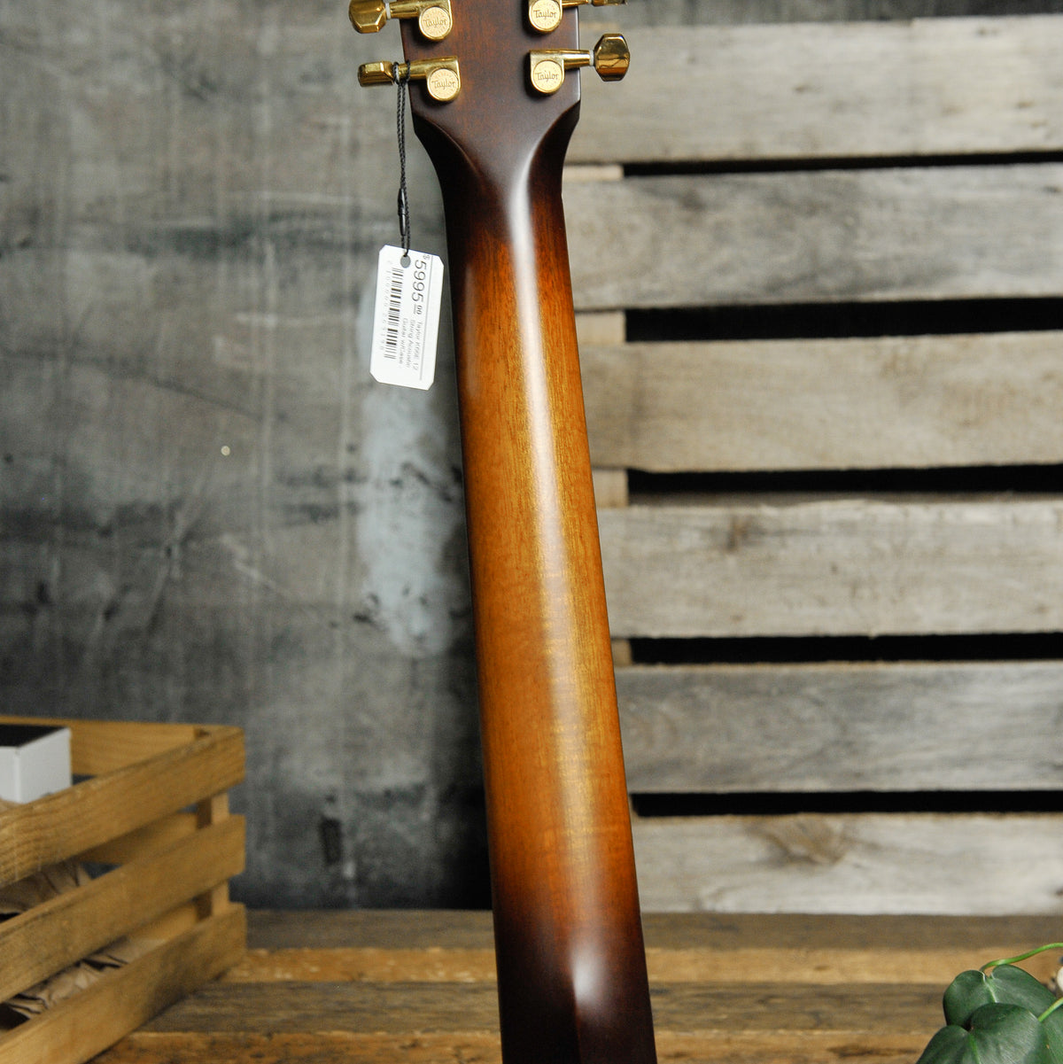 Taylor K66E 12 String Acoustic Guitar w/Case - Used