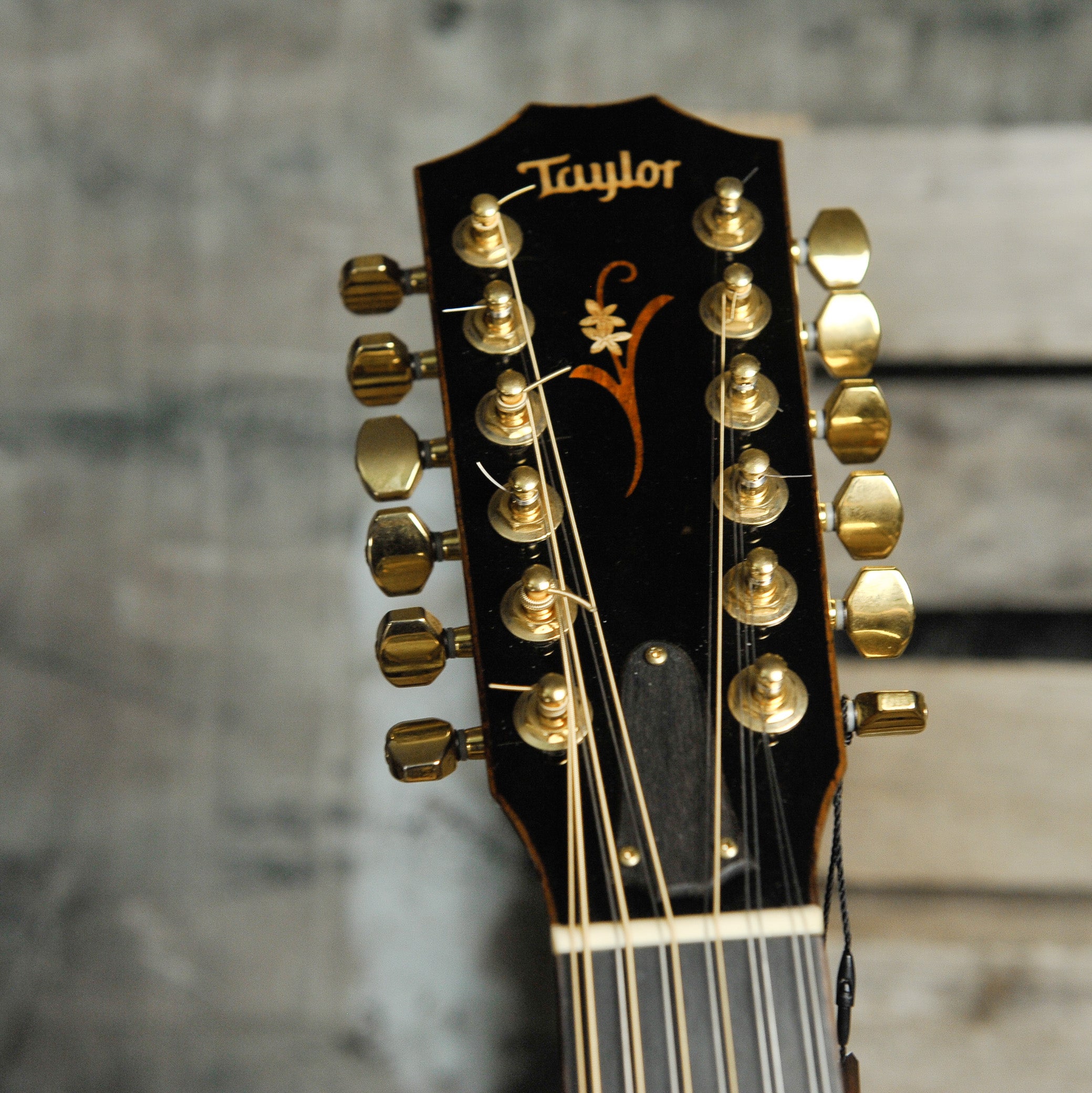 Taylor K66E 12 String Acoustic Guitar w/Case - Used
