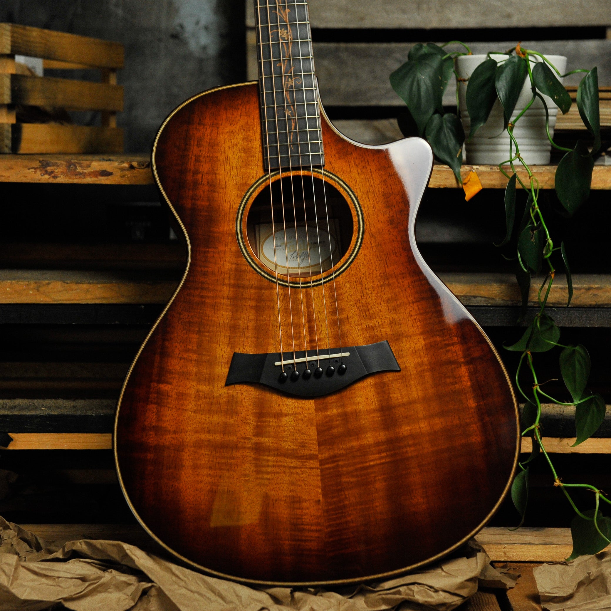 Taylor K22CE Acoustic Guitar w/Case - Used