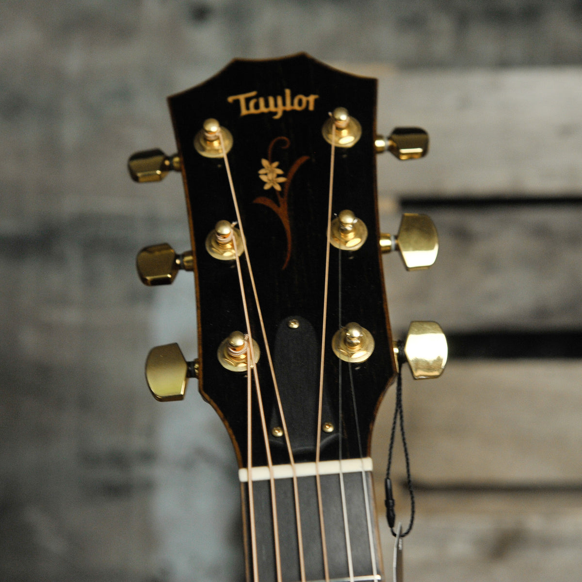 Taylor K22CE Acoustic Guitar w/Case - Used