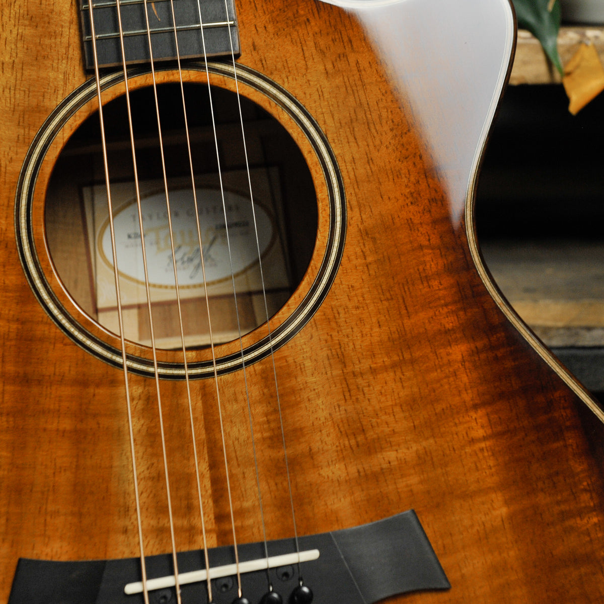 Taylor K22CE Acoustic Guitar w/Case - Used