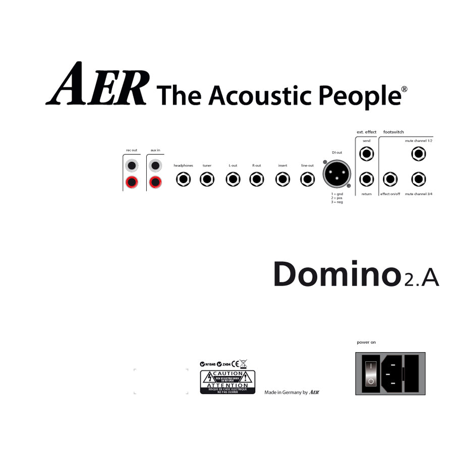 AER Domino 2 Acoustic Guitar Amplifier