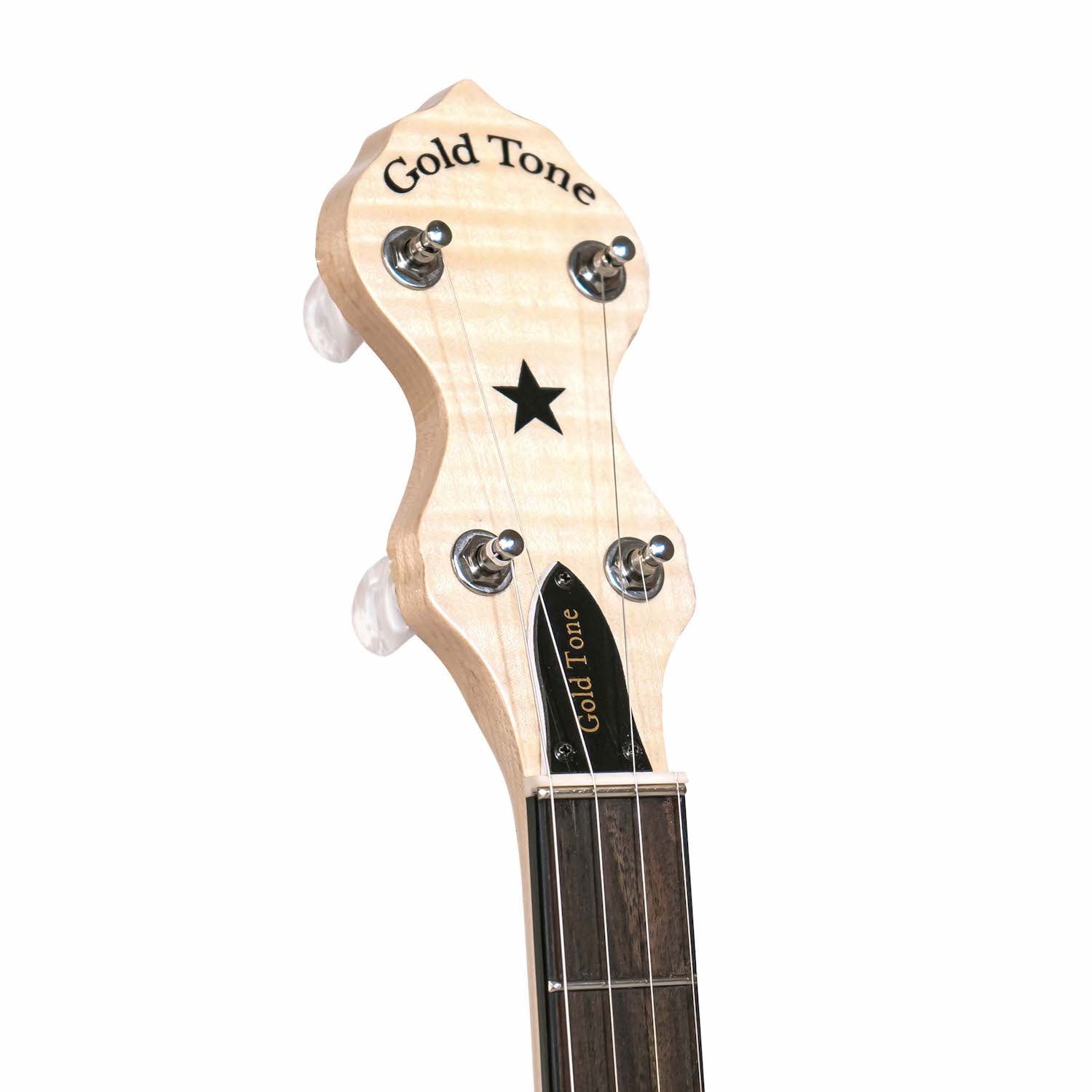Gold Tone CC-Carlin 12 Planetary tuners with bag