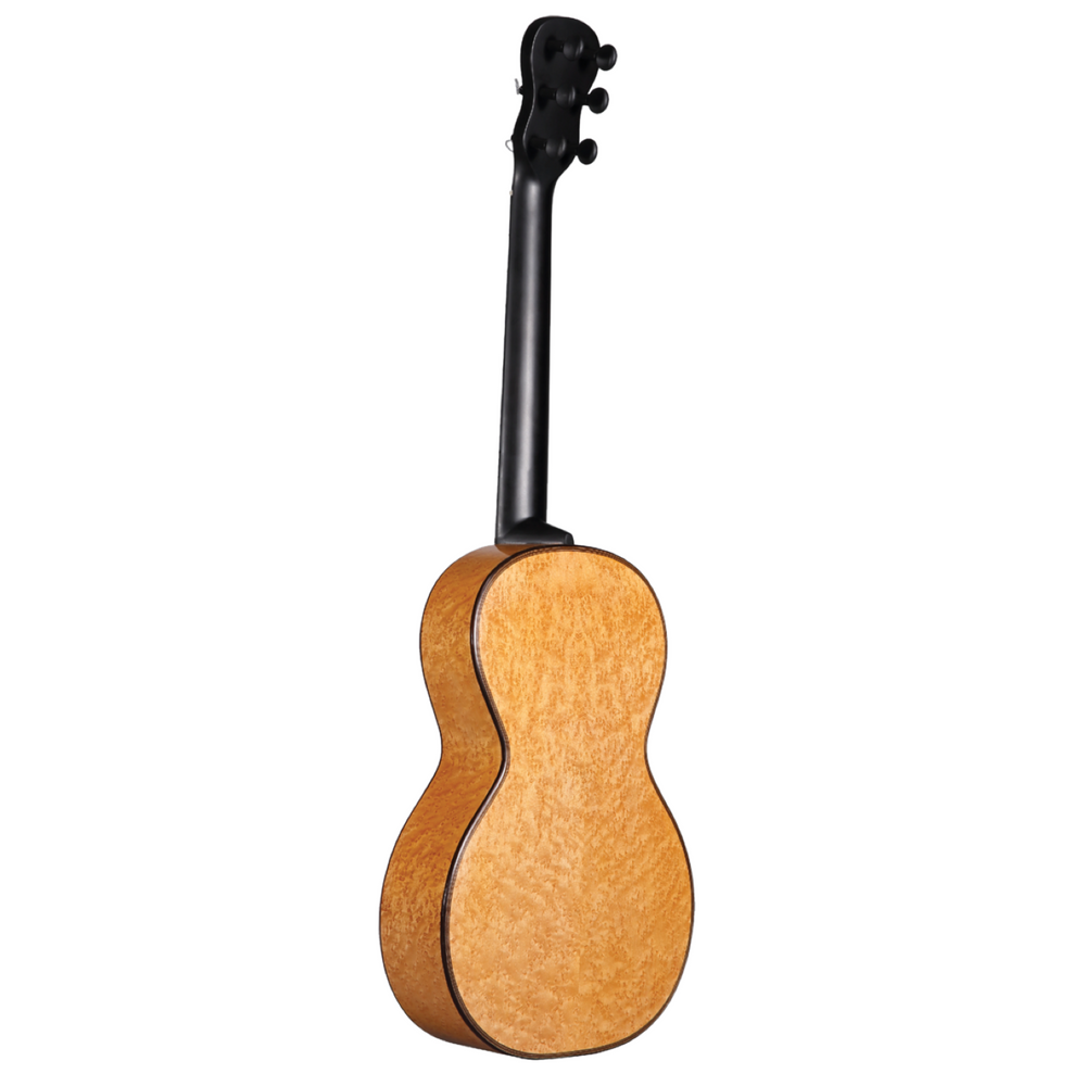 Altamira Vienna Stauffer Style Guitar Detachable neck