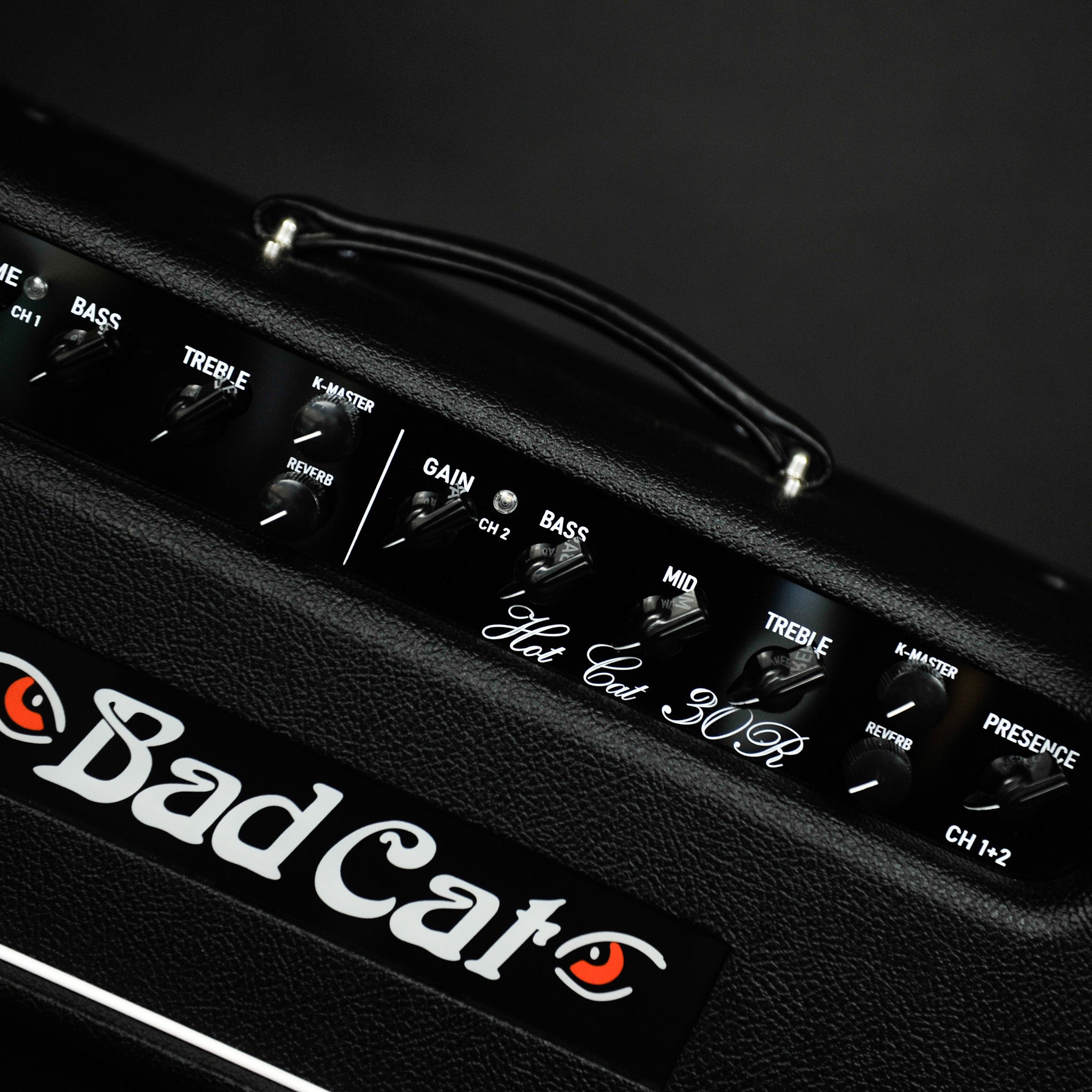 Bad Cat Hot Cat 30R Head +_Hot Cat 1x12 Speaker CabinetHandwired Guitar Amp - Used