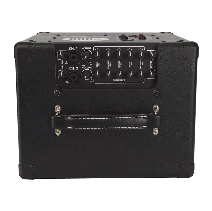 Henriksen Bud 10 - 120w Dual Channel Guitar Amplifier